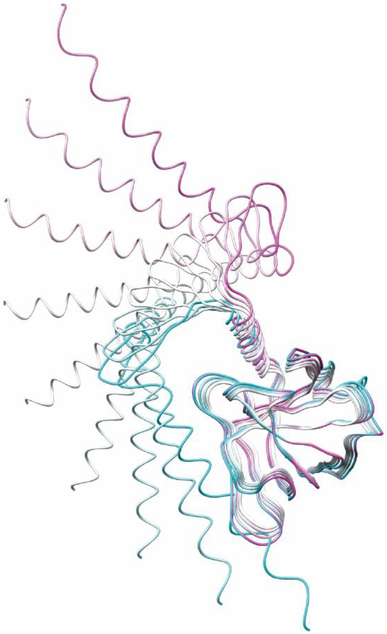 Pathogens 11 00024 g008