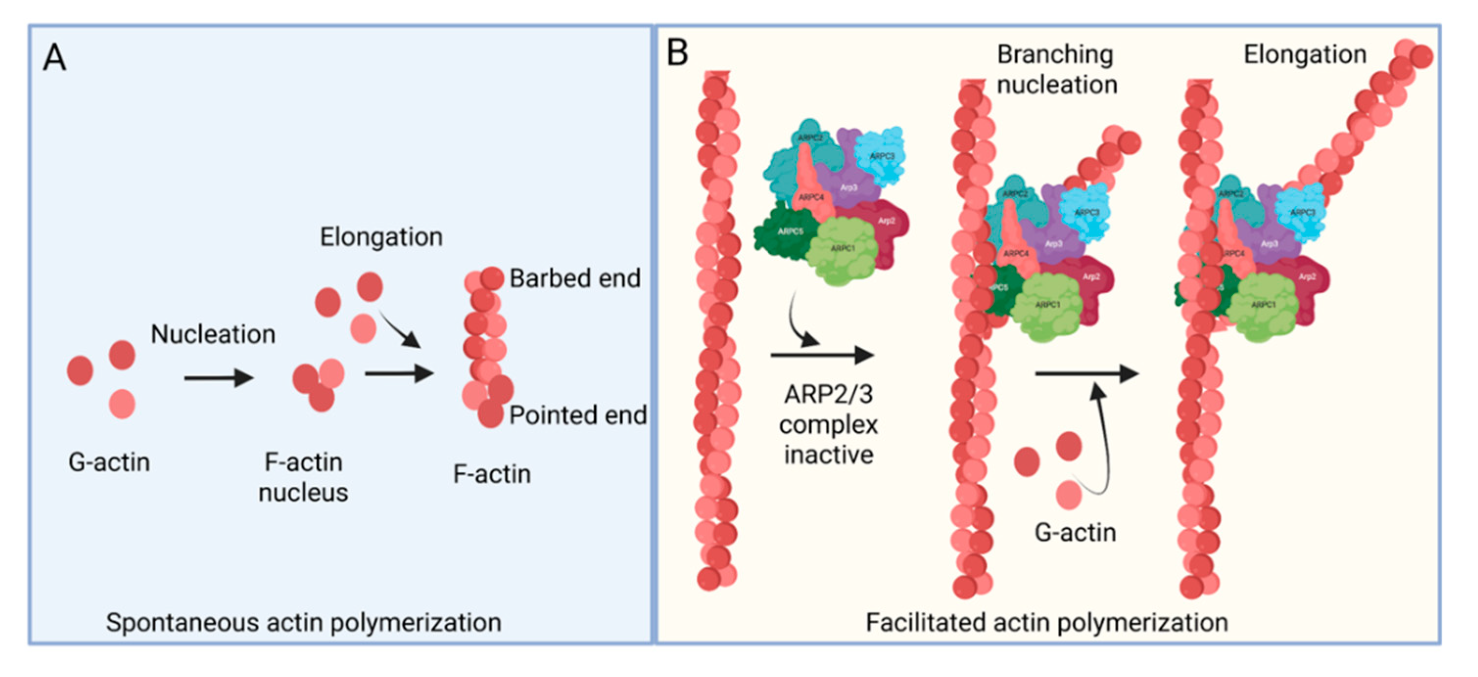 Pathogens 11 00026 g001