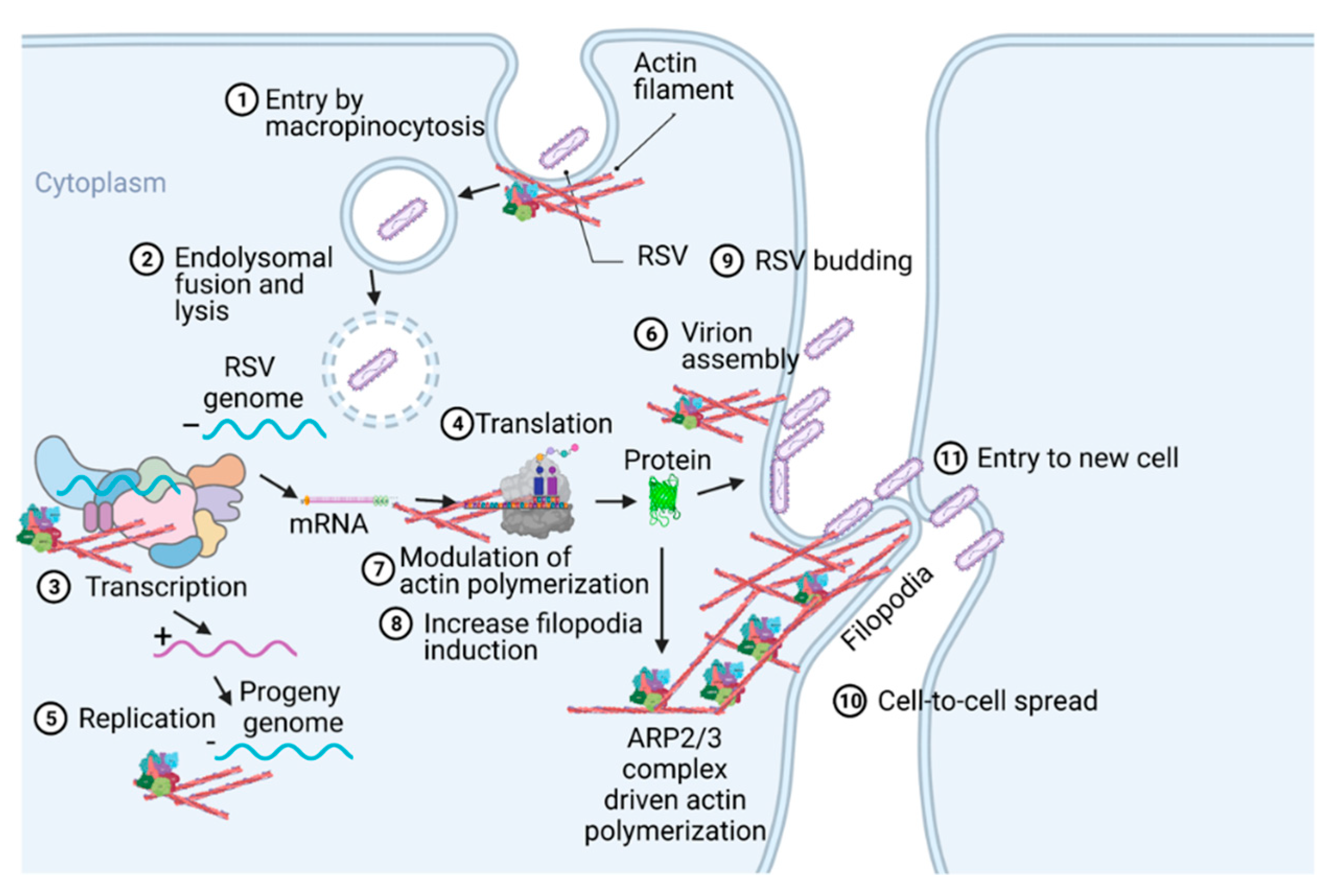 Pathogens 11 00026 g002