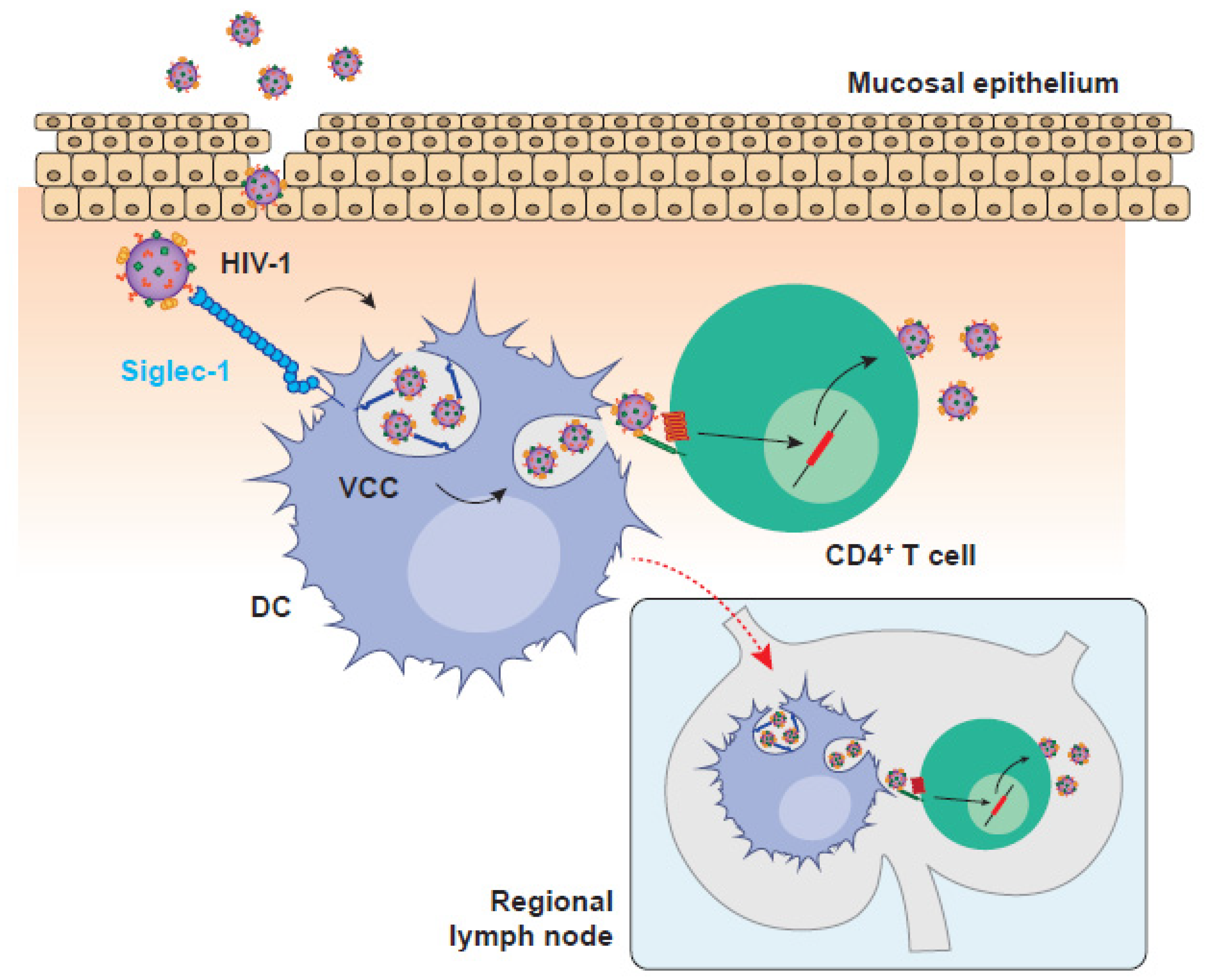 Pathogens 11 00039 g001 Pathogens 11 00039 g001