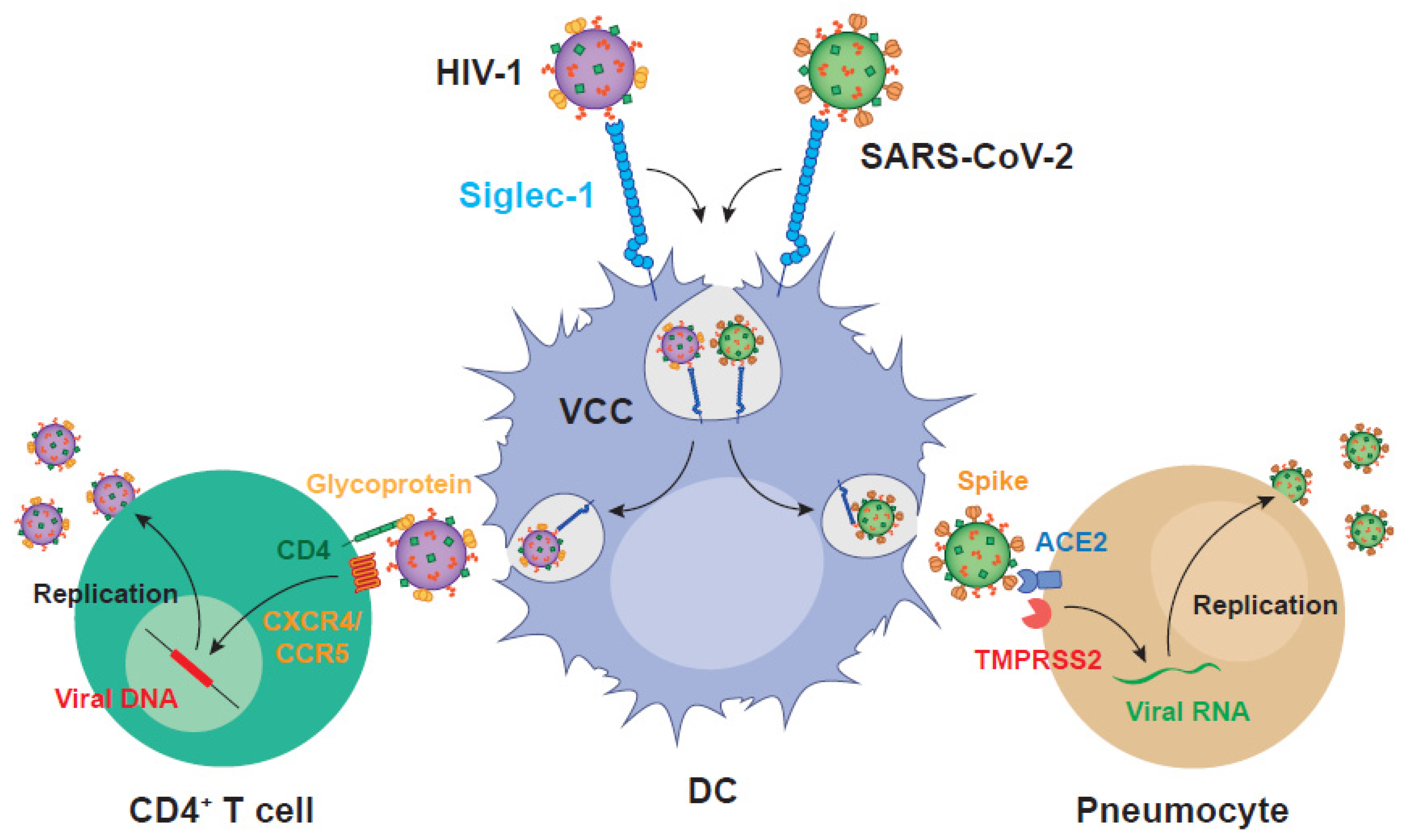 Pathogens 11 00039 g002 Pathogens 11 00039 g002