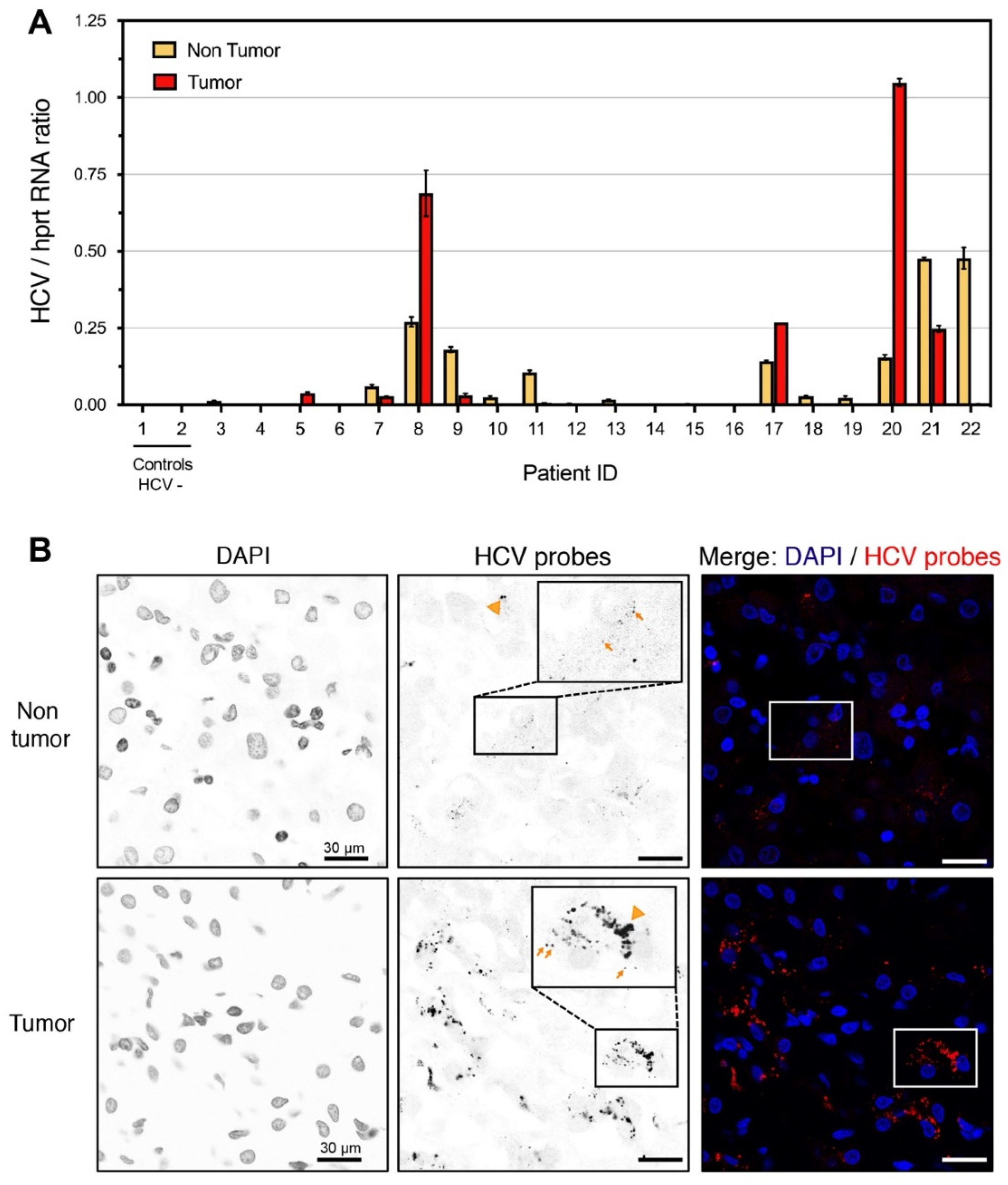 Pathogens 11 00046 g002