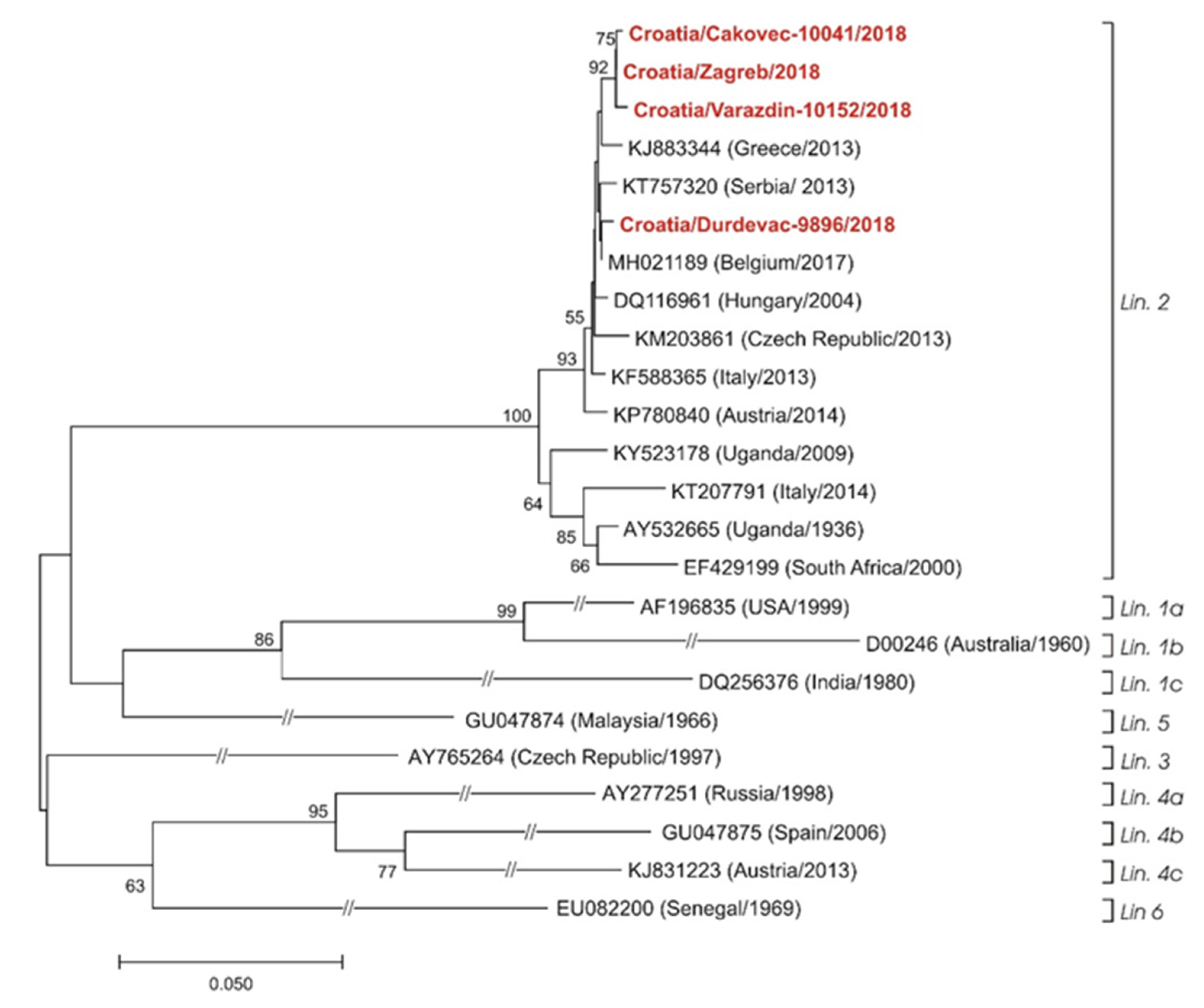 Pathogens 11 00052 g002 Pathogens 11 00052 g002