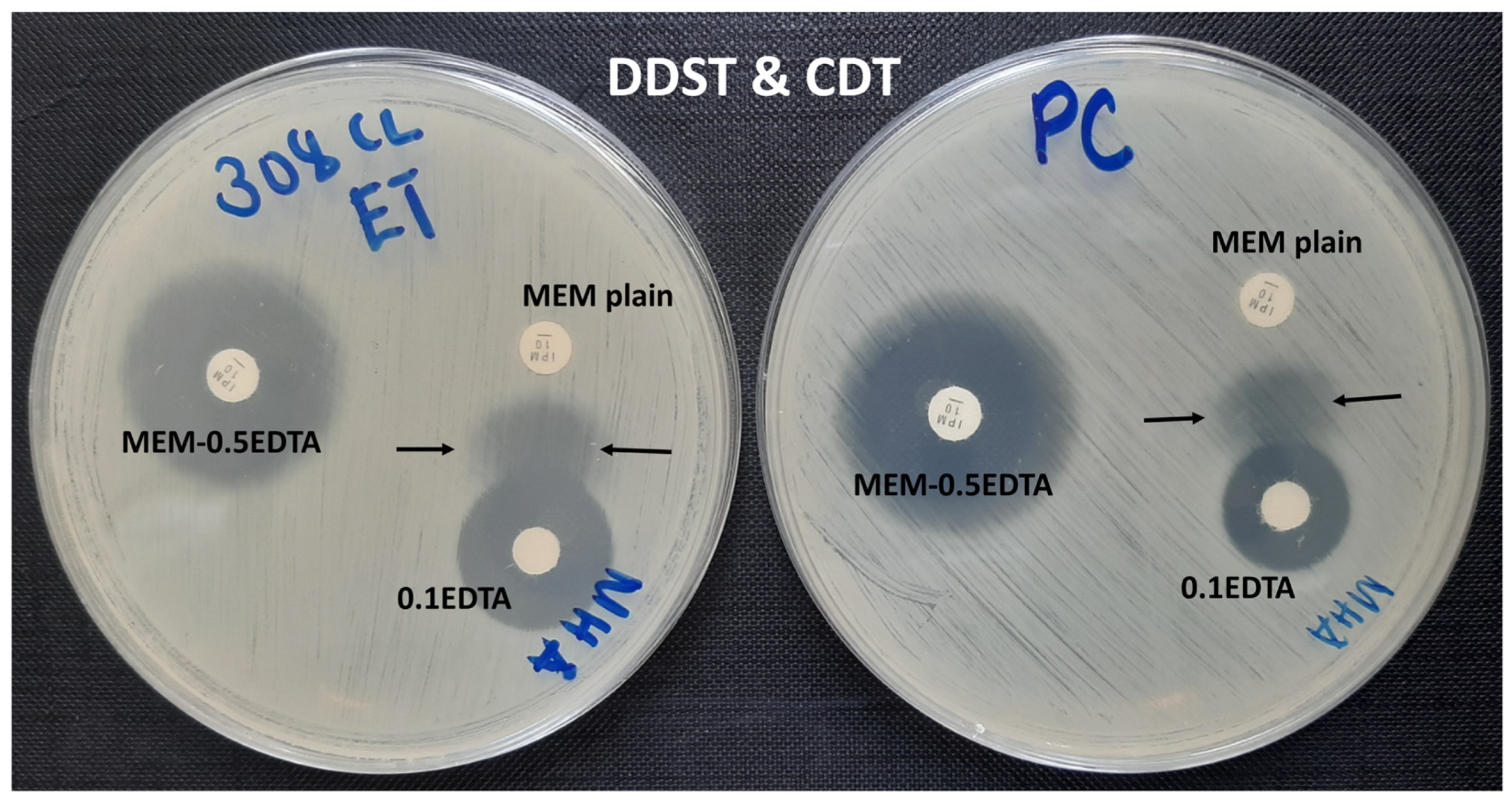 Pathogens 11 00063 g002 Pathogens 11 00063 g002