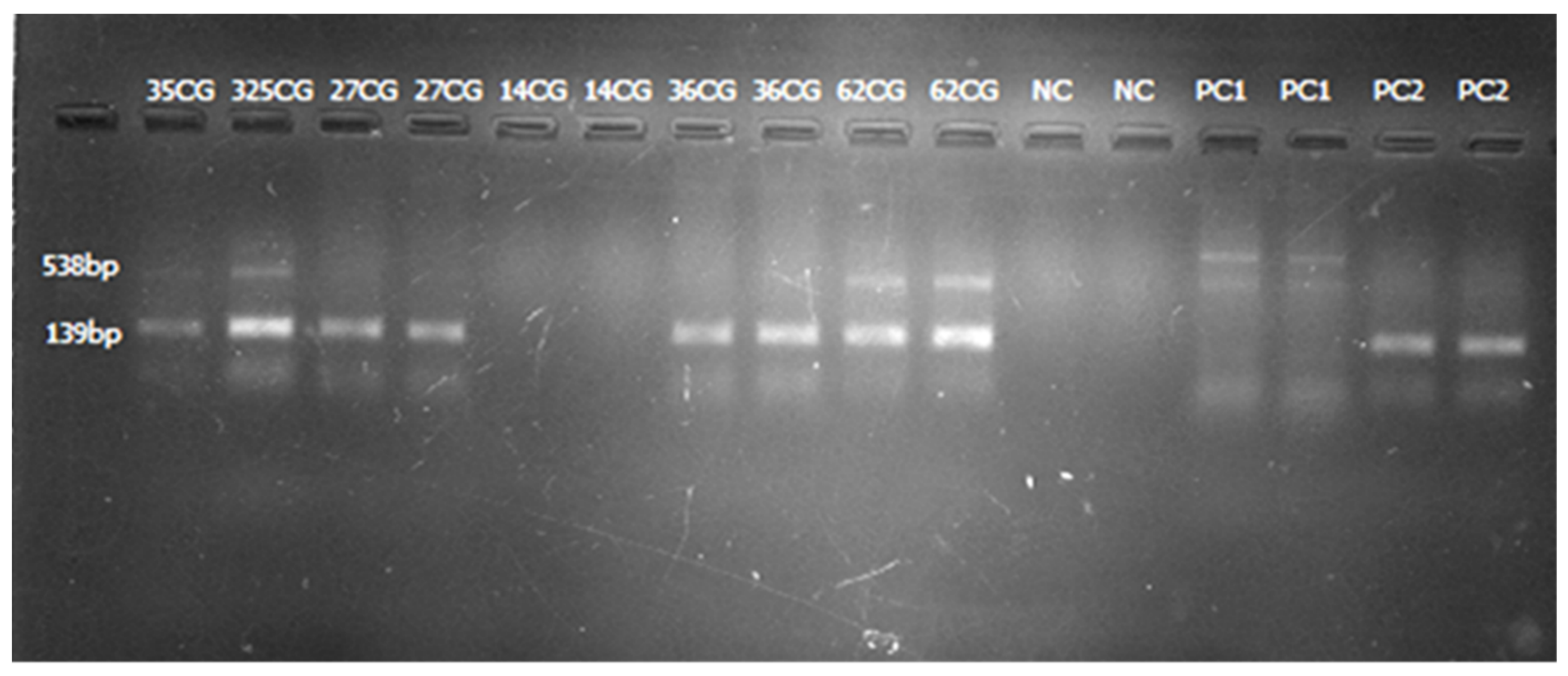 Pathogens 11 00063 g003 Pathogens 11 00063 g003