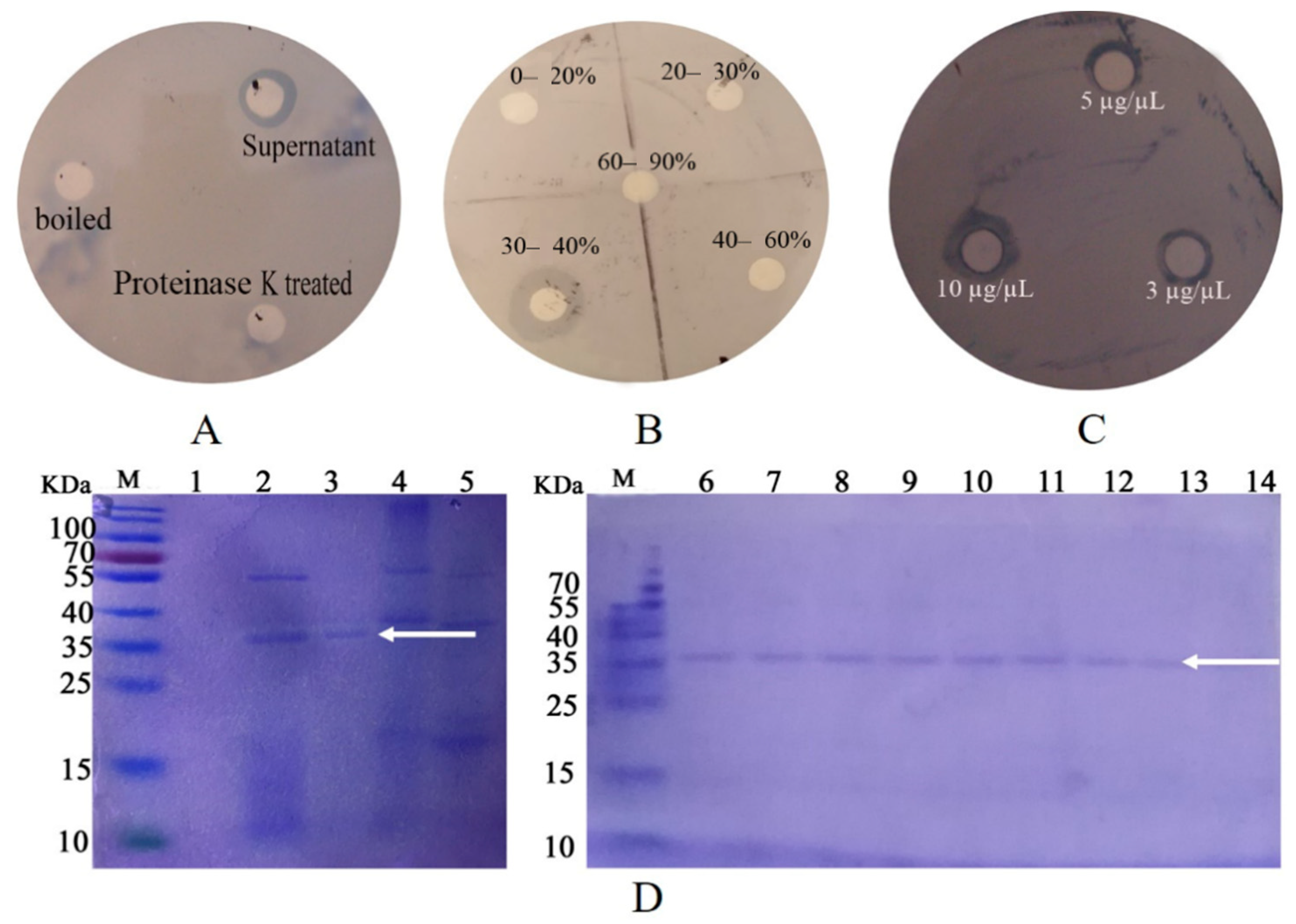 Pathogens 11 00082 g001