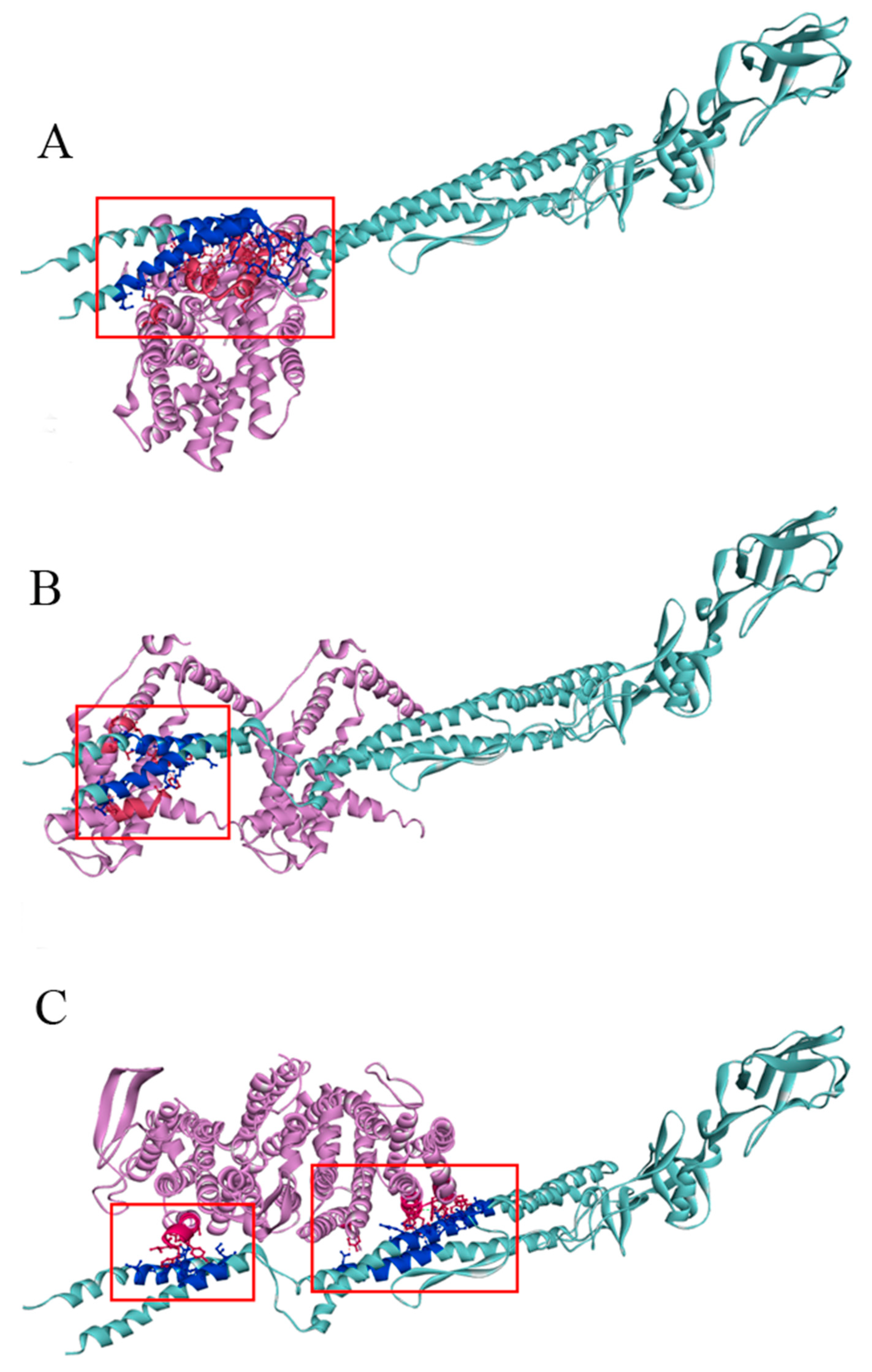 Pathogens 11 00082 g010