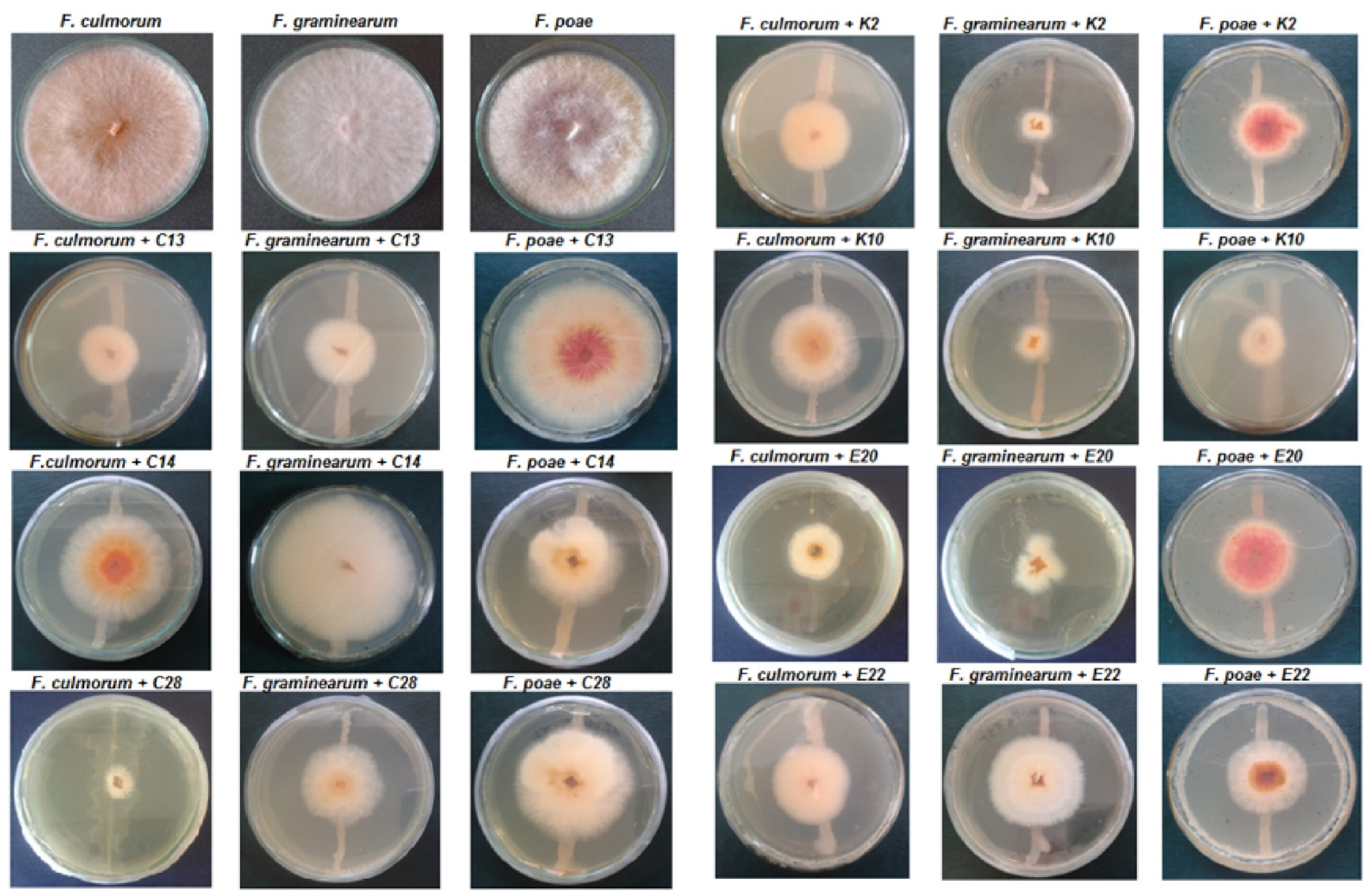 Pathogens 11 00086 g002
