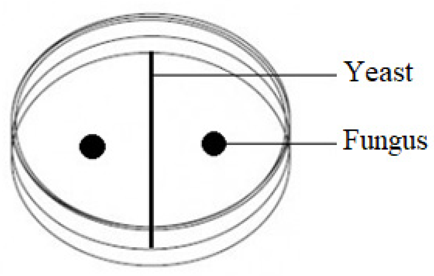 Pathogens 11 00086 g007