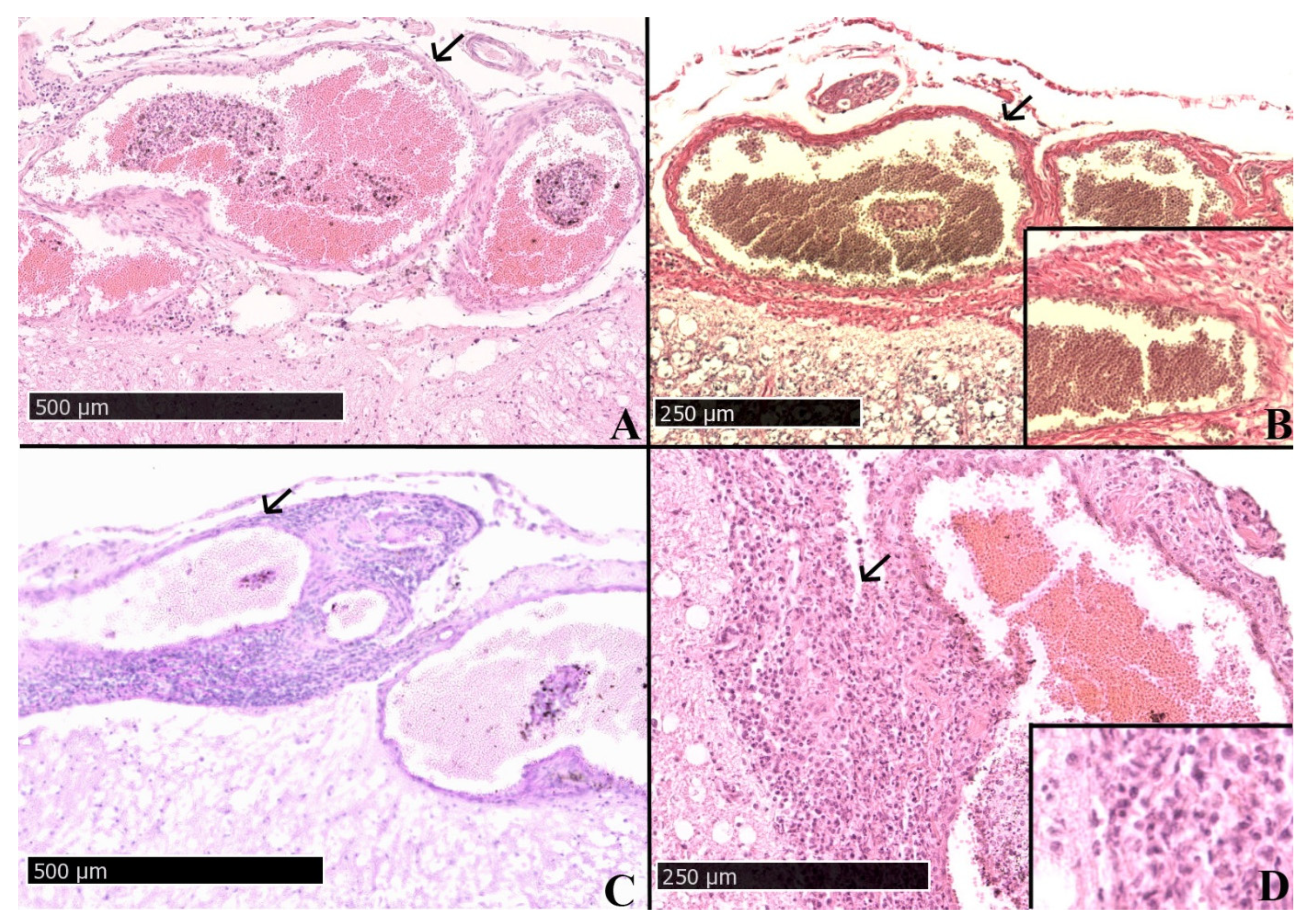 Pathogens 11 00088 g001