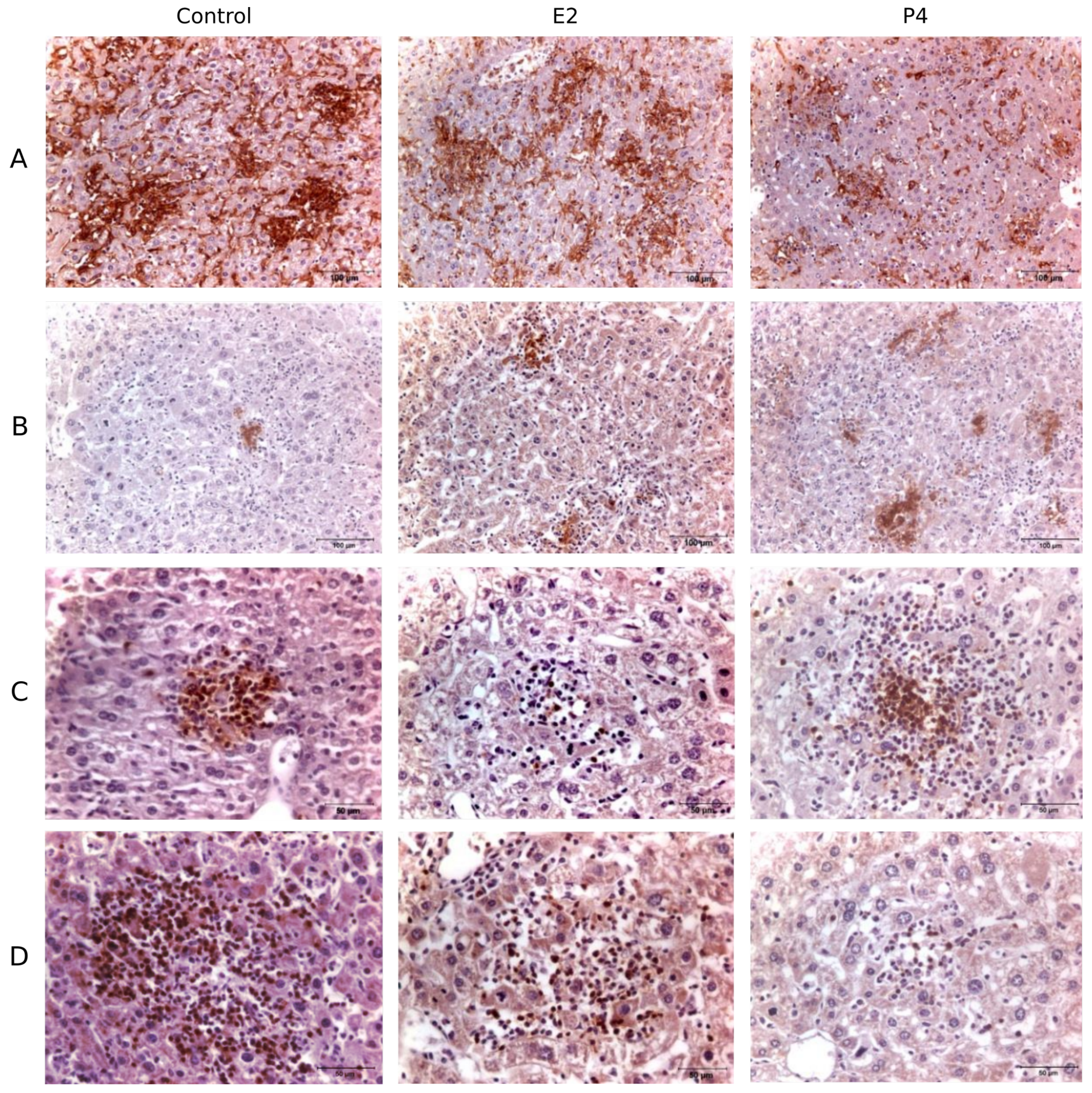 Pathogens 11 00093 g003