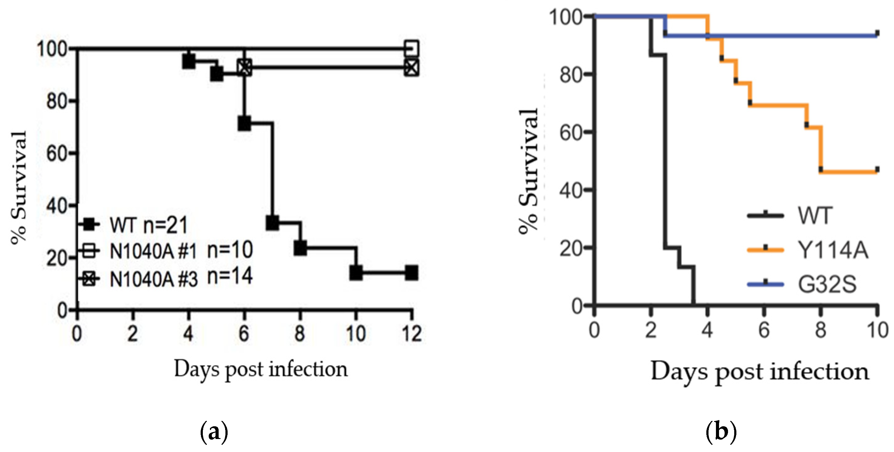 Pathogens 11 00094 g002