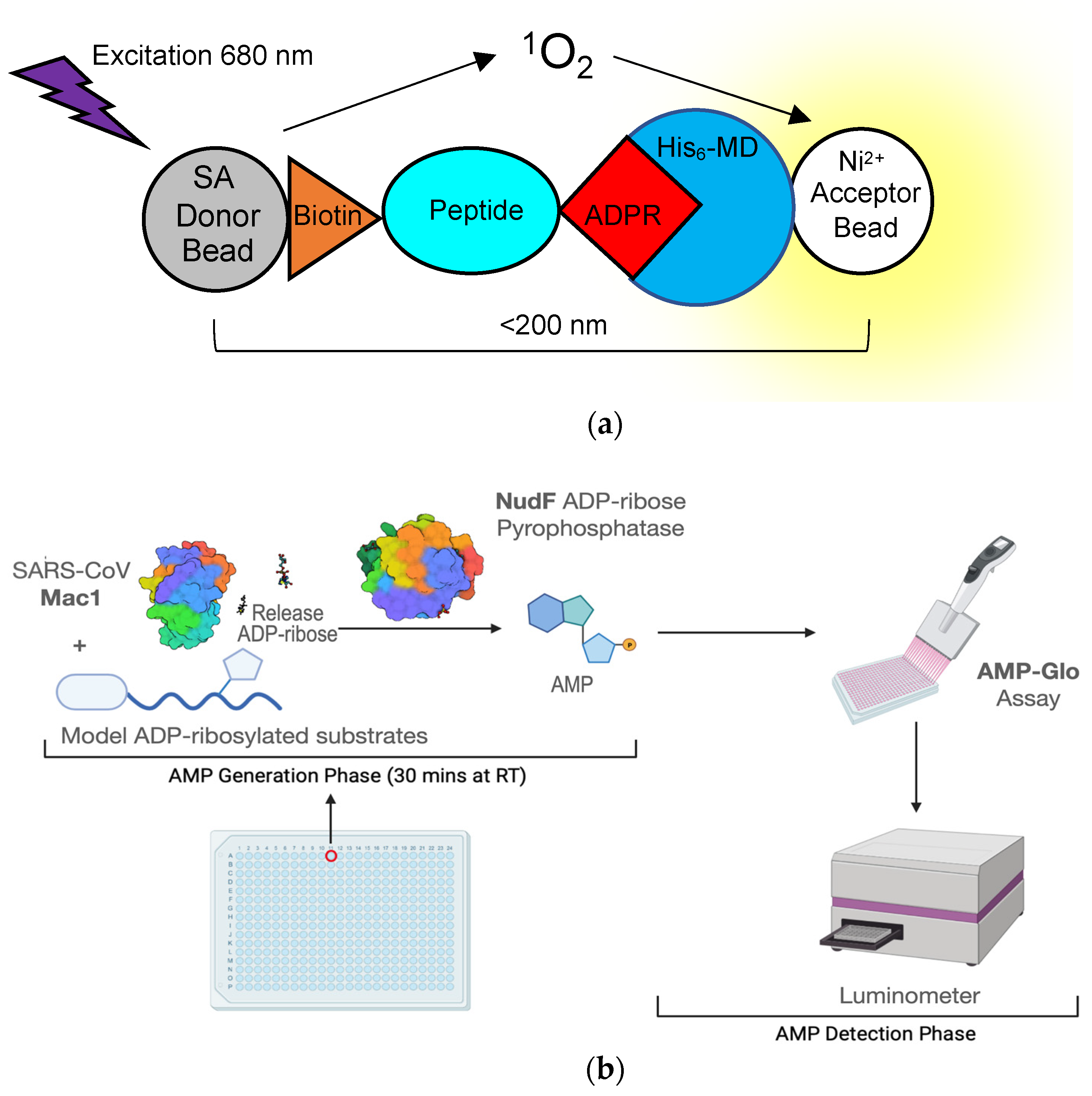 Pathogens 11 00094 g006