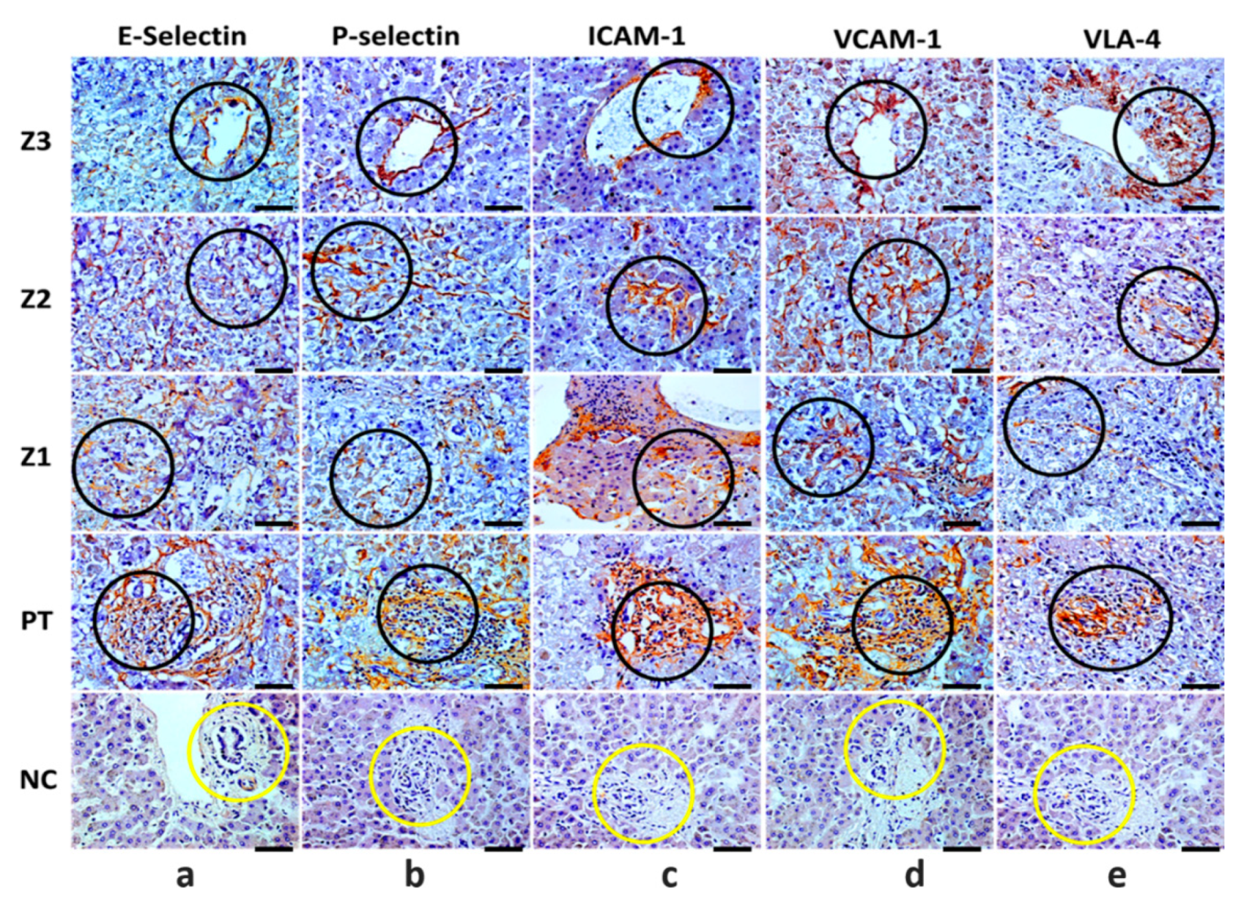 Pathogens 11 00101 g003