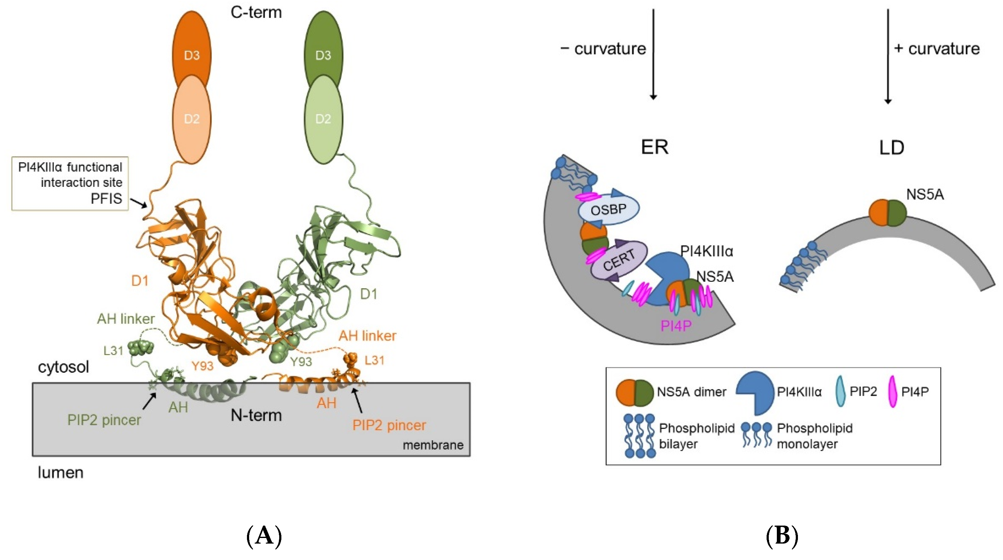 Pathogens 11 00102 g002
