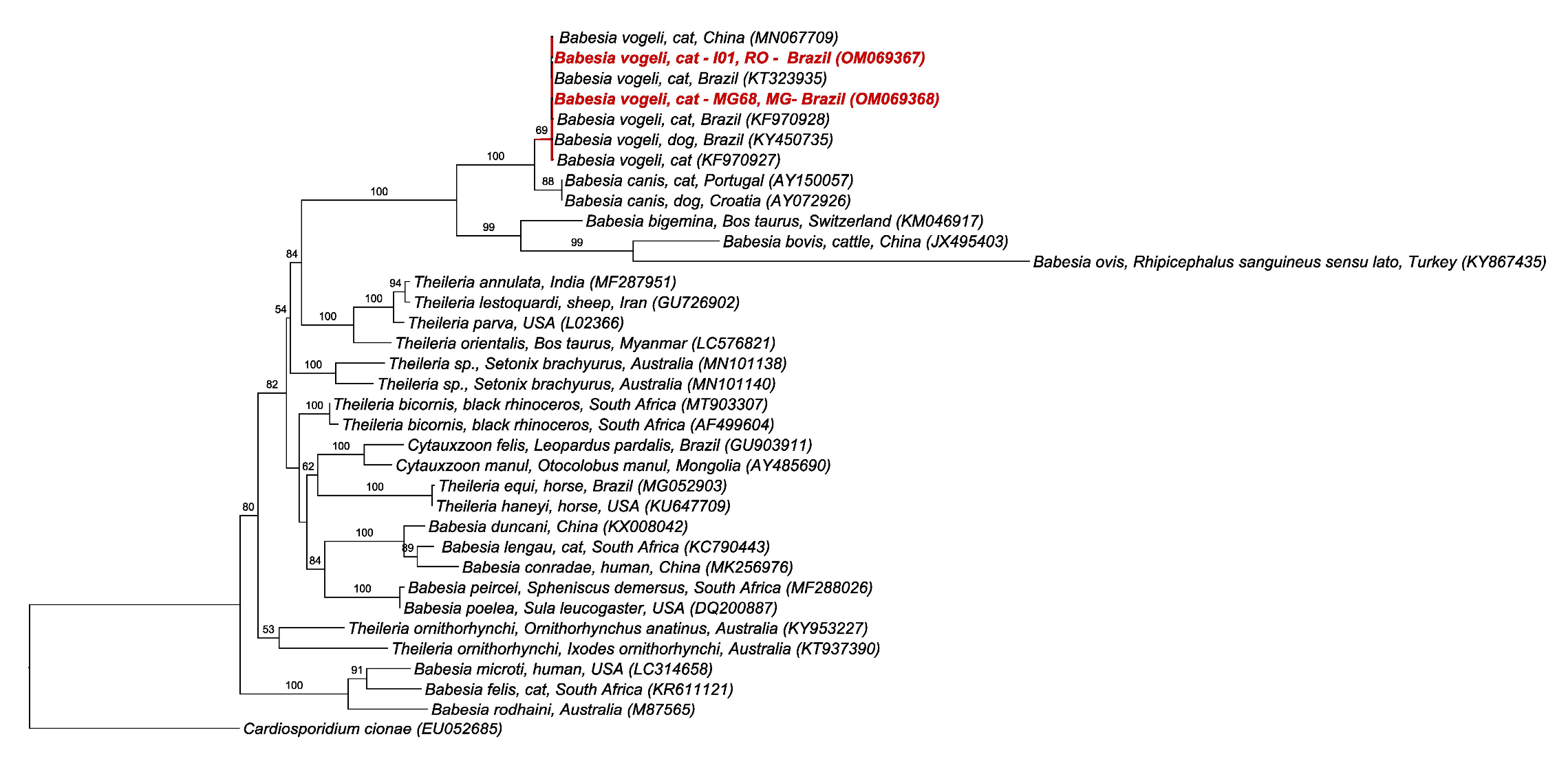 Pathogens 11 00106 g002