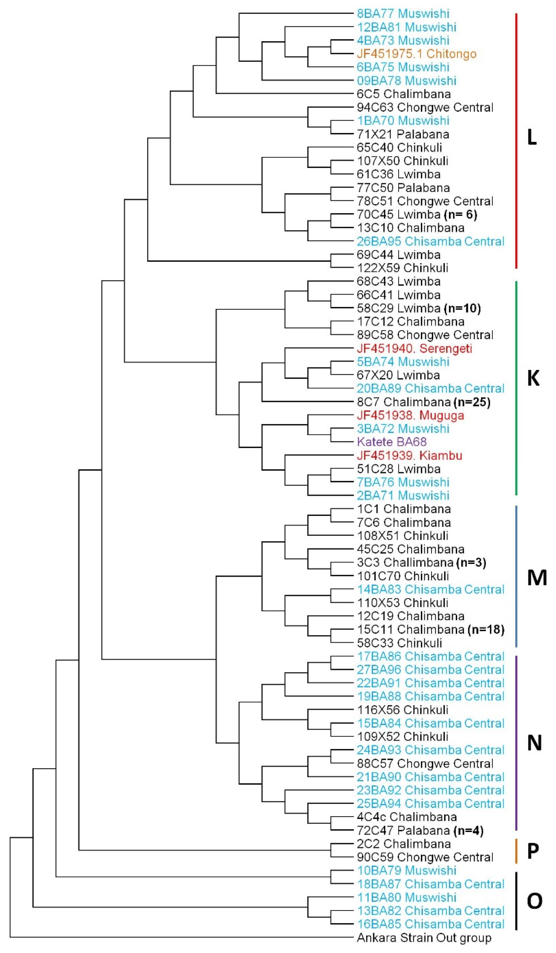 Pathogens 11 00114 g001
