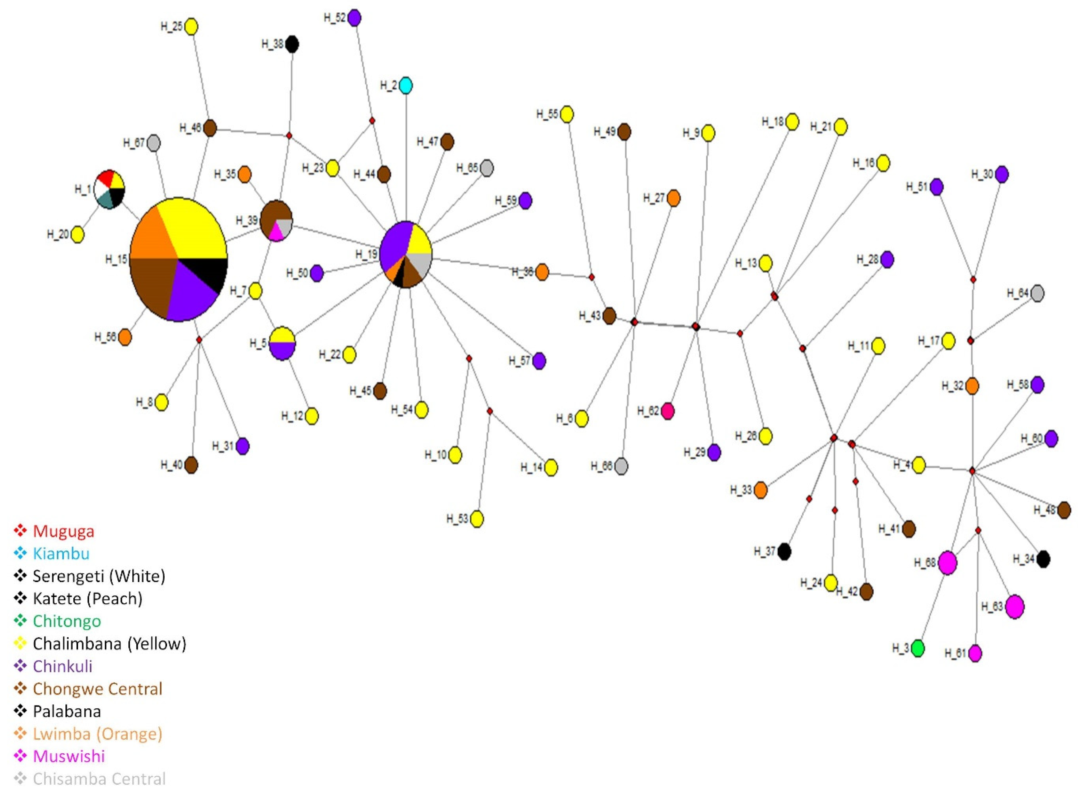Pathogens 11 00114 g004