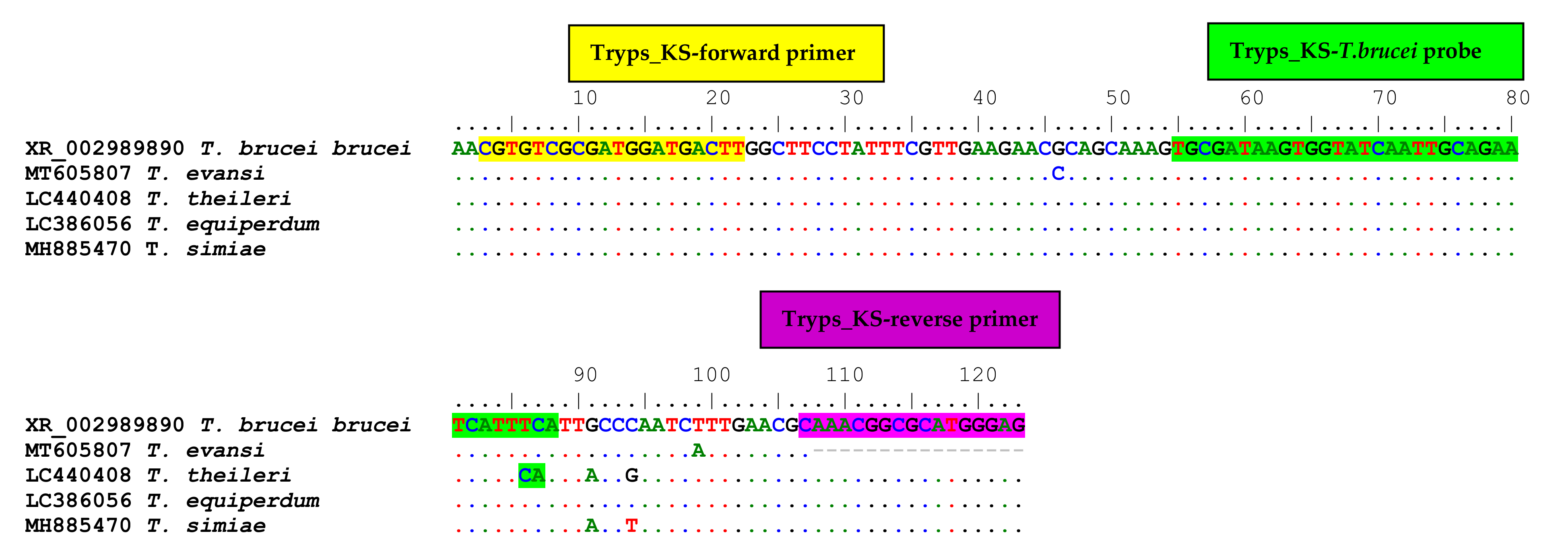 Pathogens 11 00136 g0a1