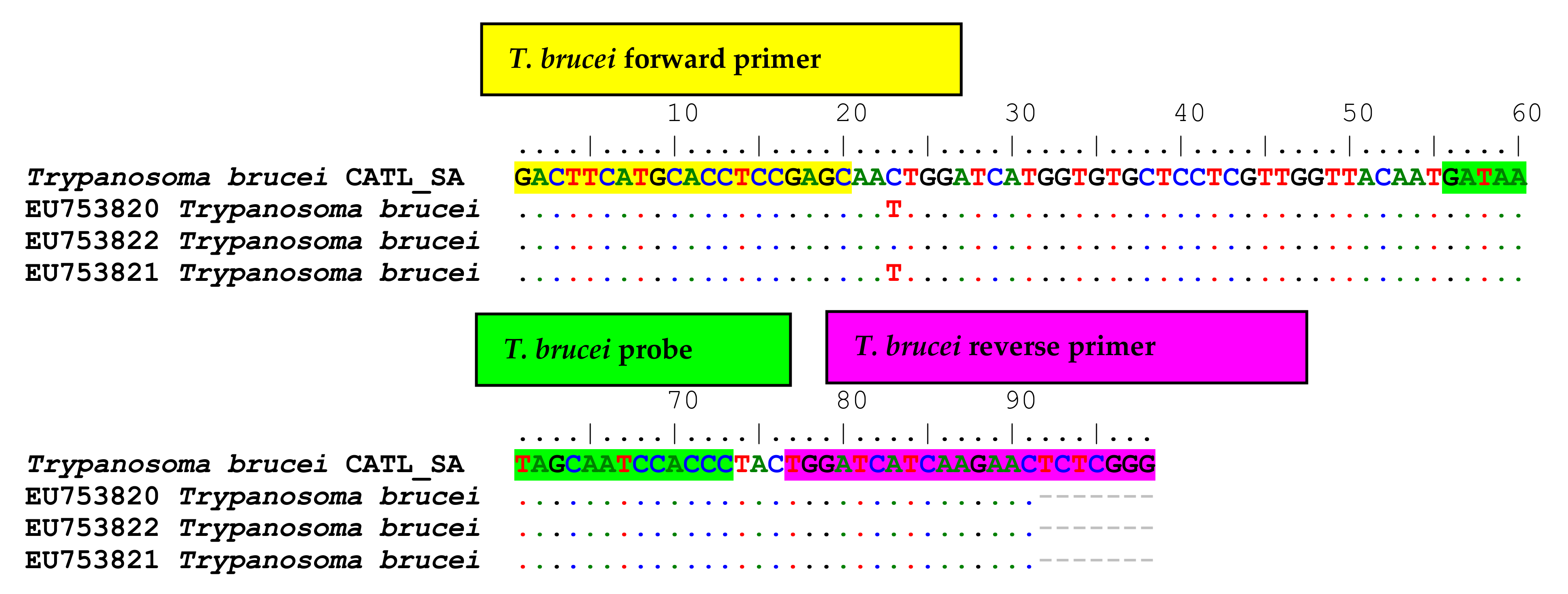 Pathogens 11 00136 g0a3