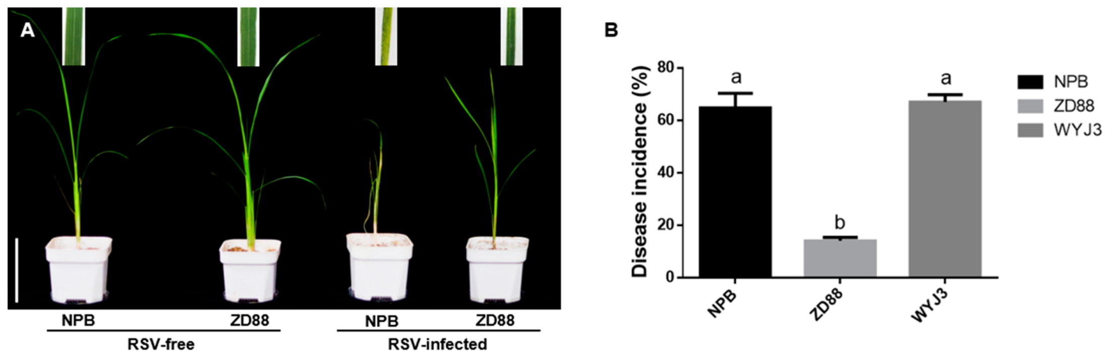 Pathogens 11 00144 g003