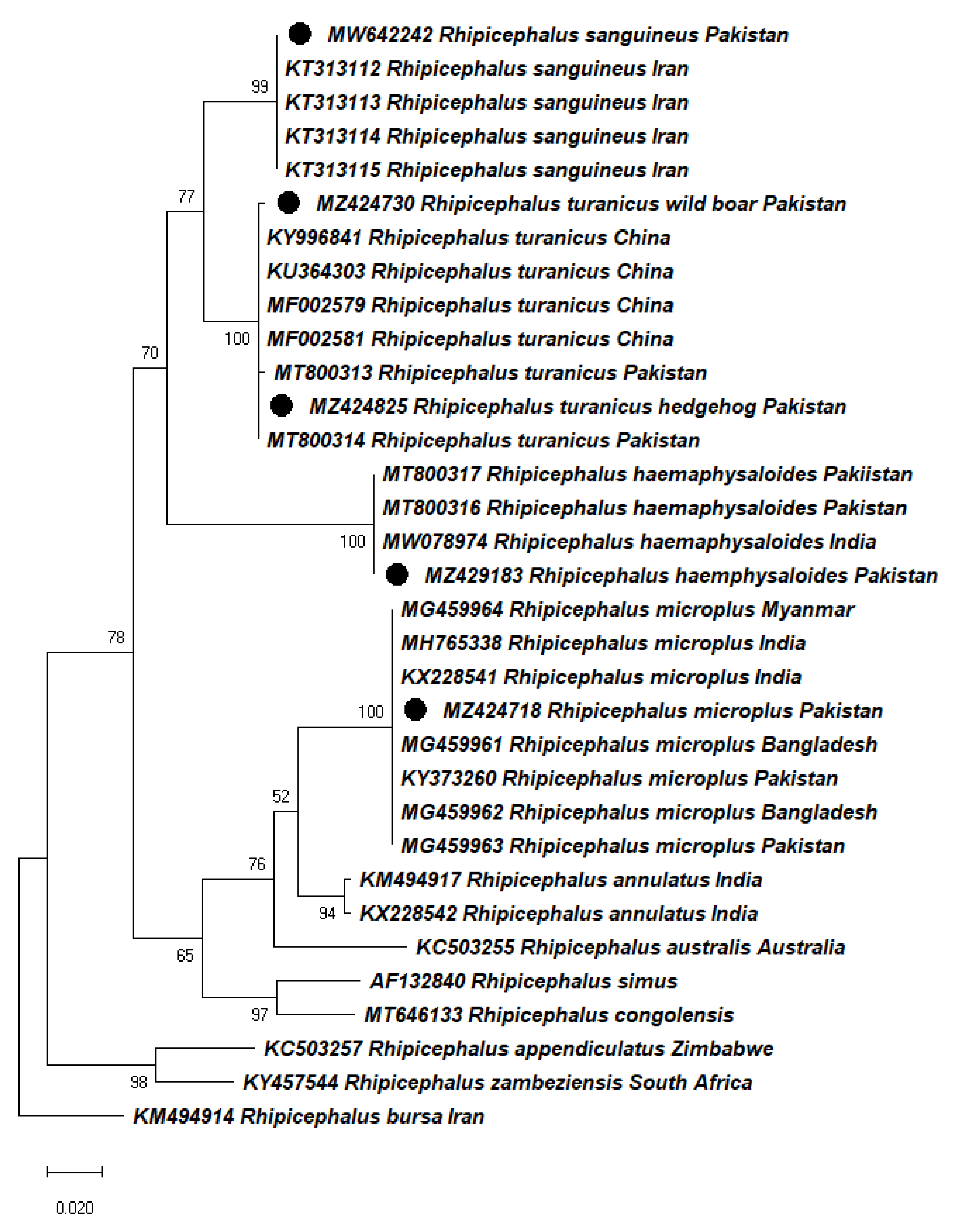 Pathogens 11 00162 g002