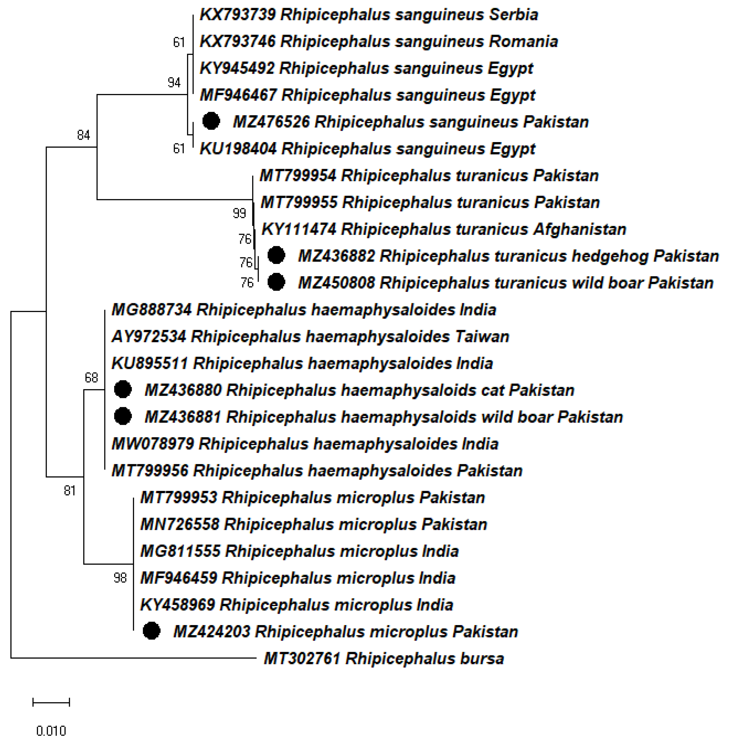 Pathogens 11 00162 g003