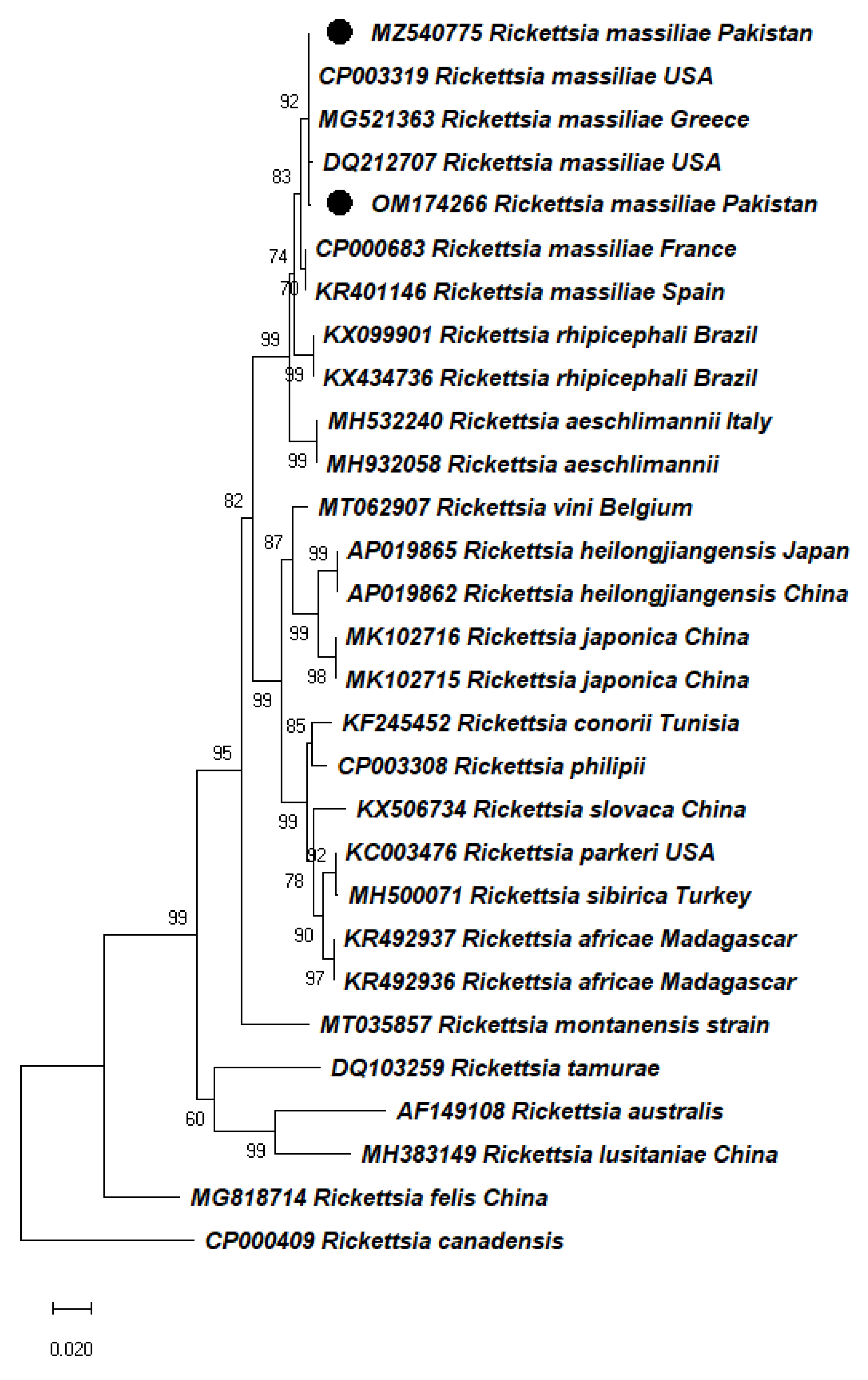 Pathogens 11 00162 g004
