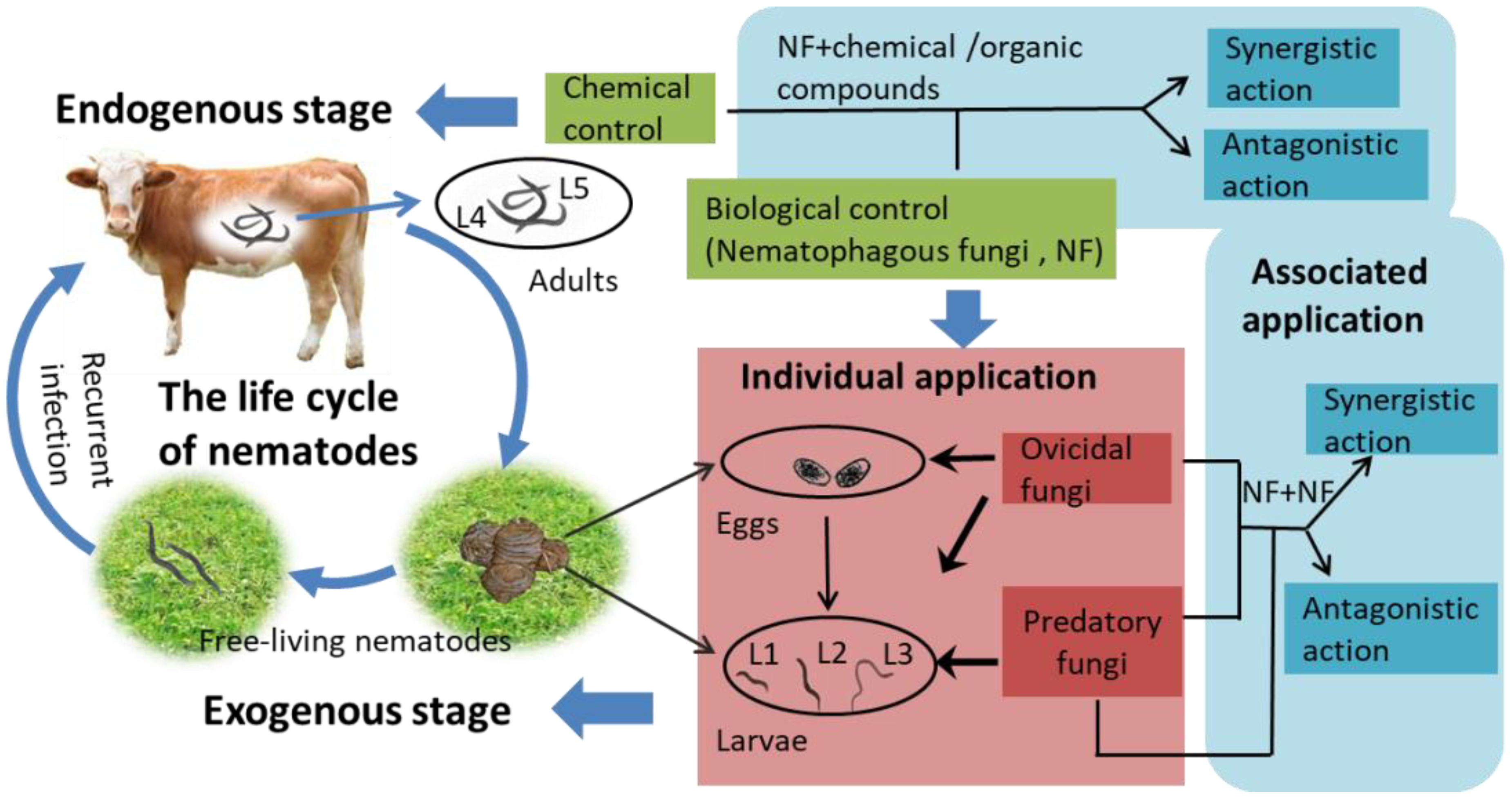 Pathogens 11 00172 g001 Pathogens 11 00172 g001