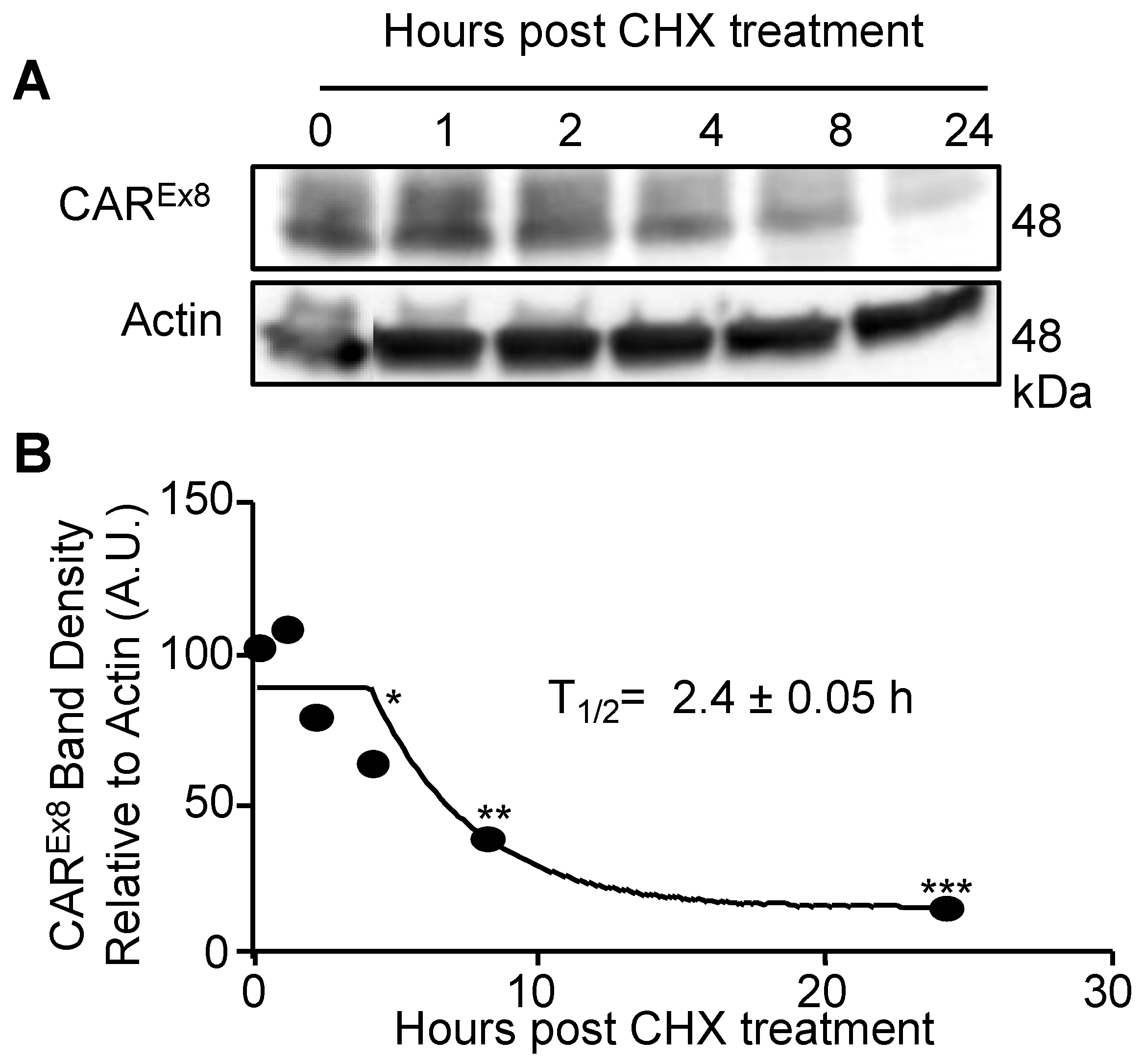 Pathogens 11 00173 g002
