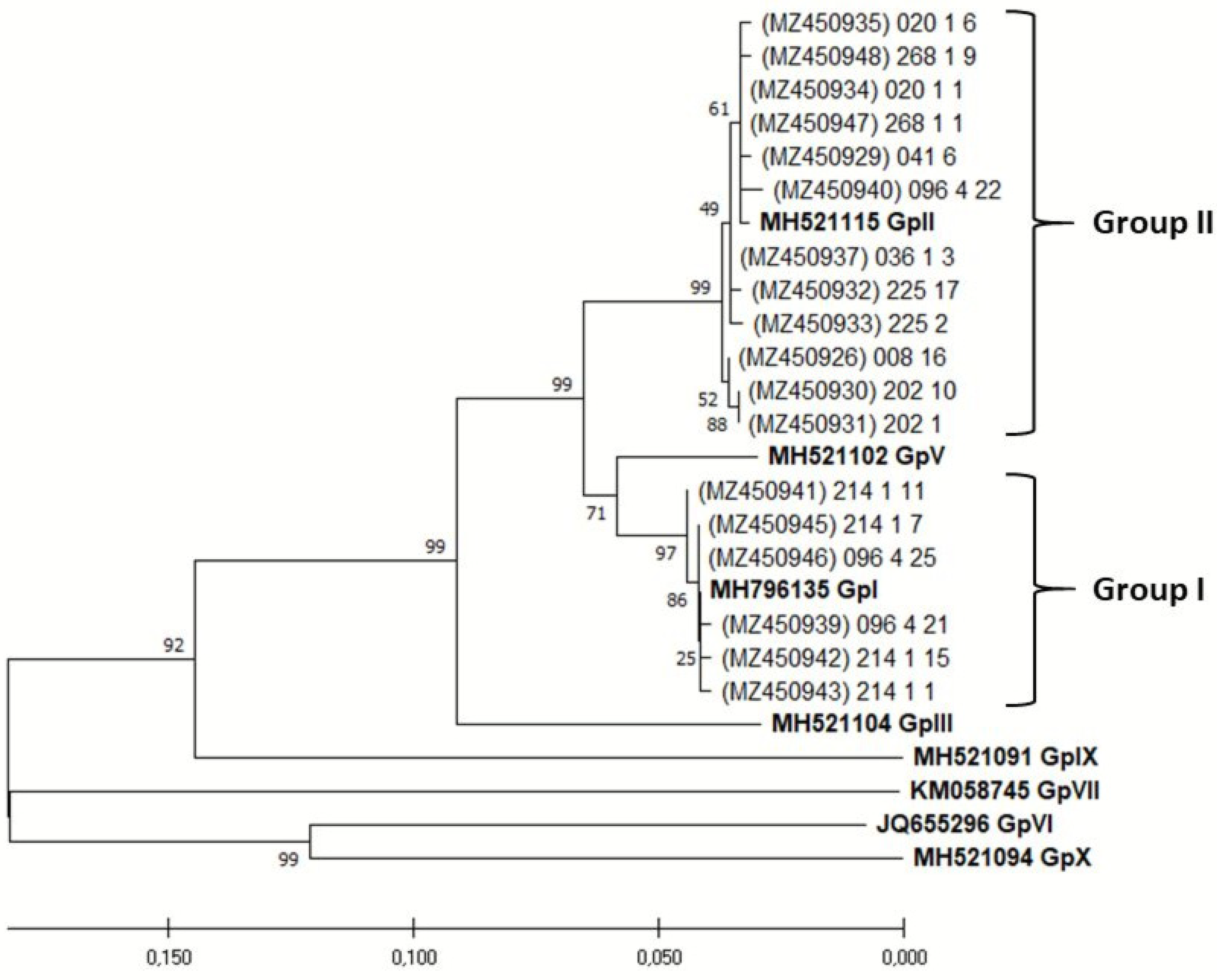 Pathogens 11 00176 g004
