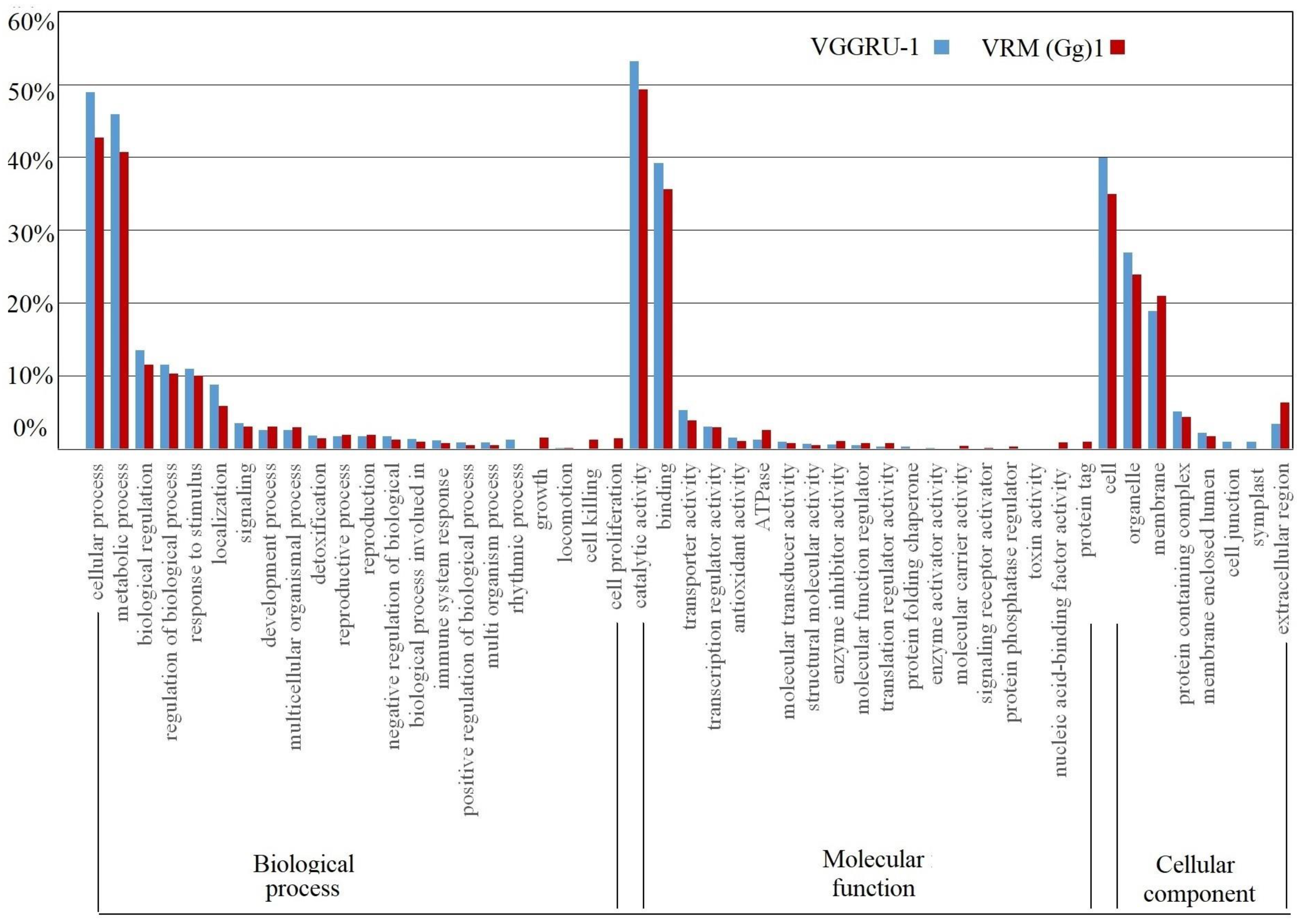 Pathogens 11 00190 g003 Pathogens 11 00190 g003