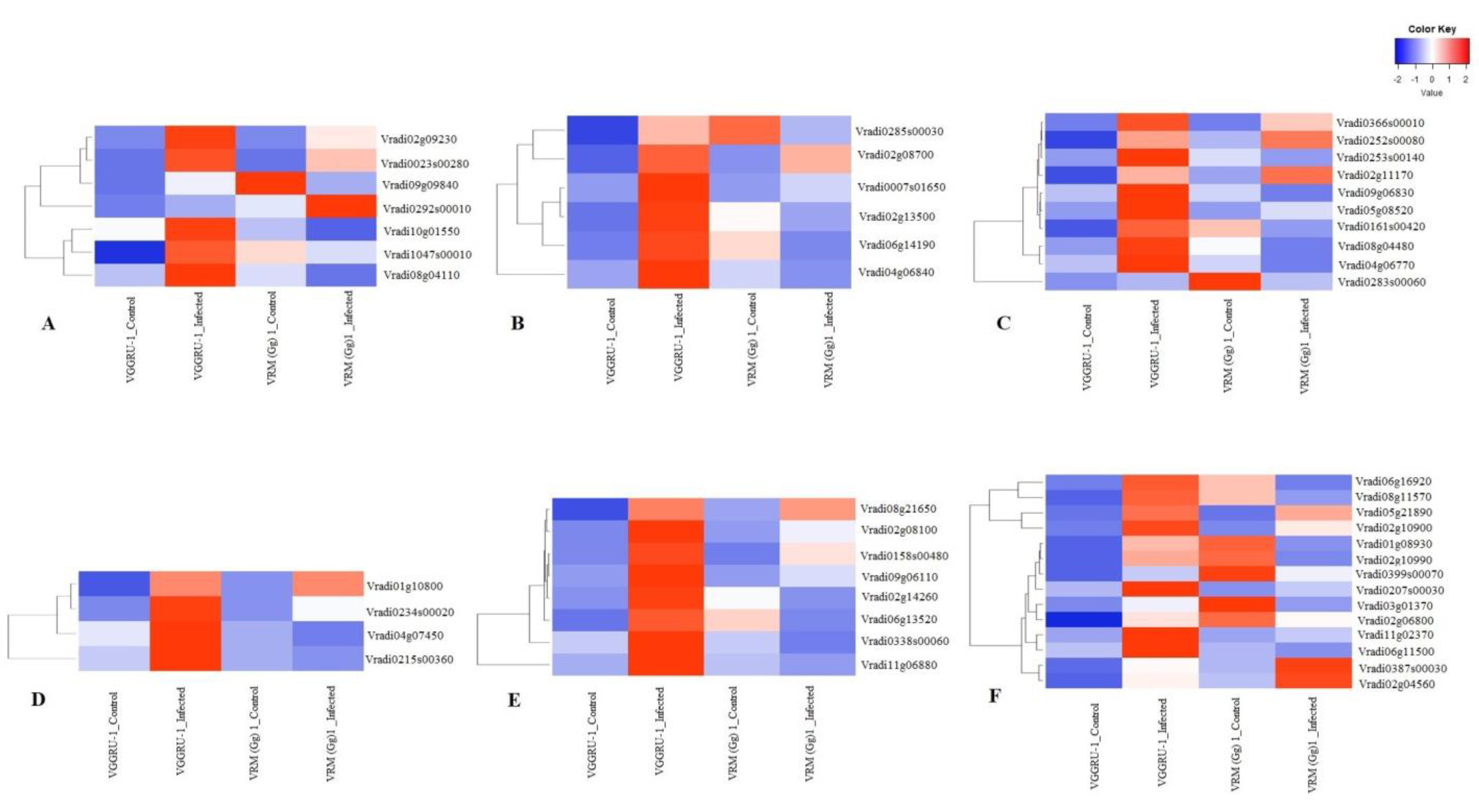 Pathogens 11 00190 g004 Pathogens 11 00190 g004