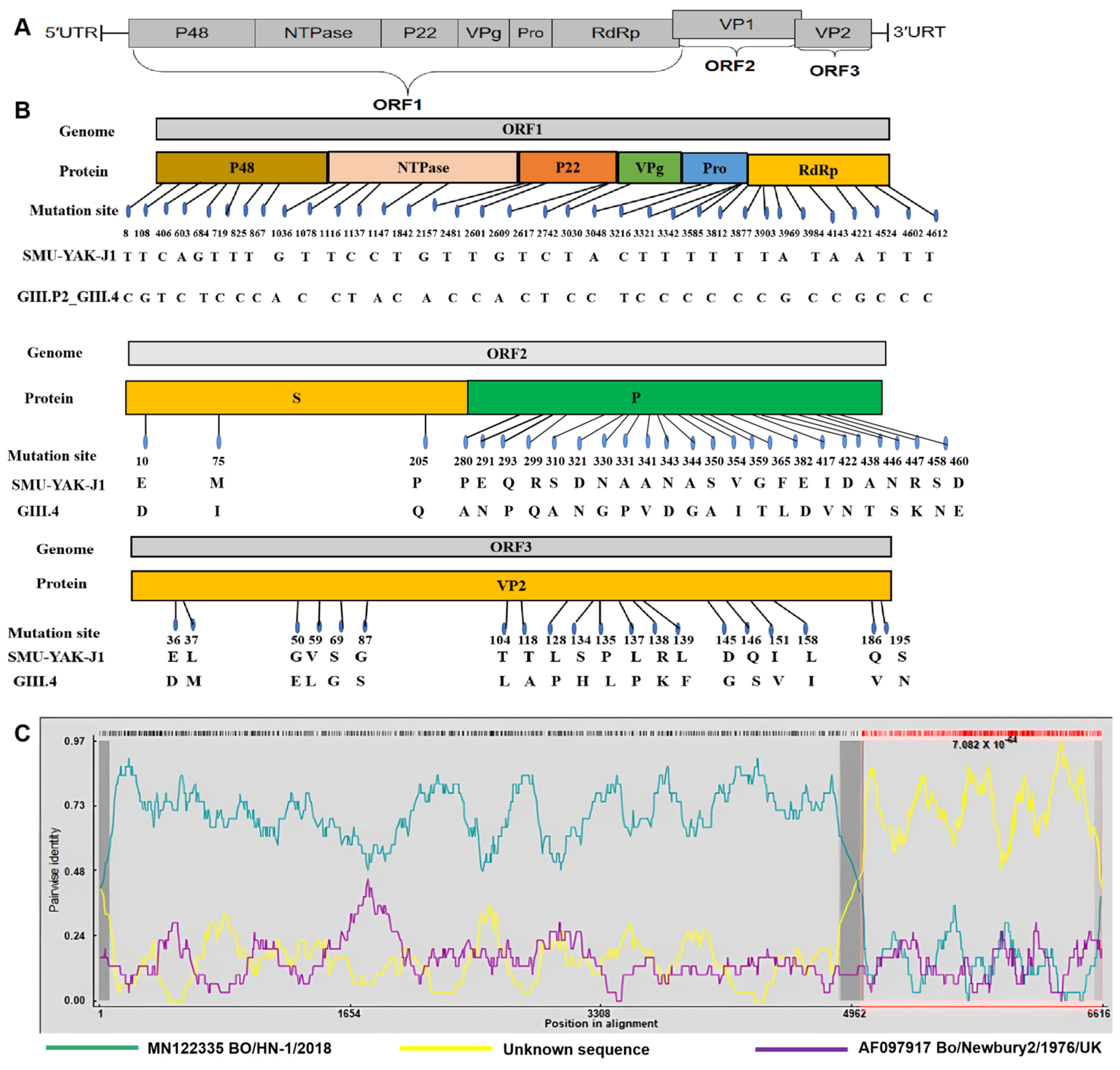Pathogens 11 00192 g001