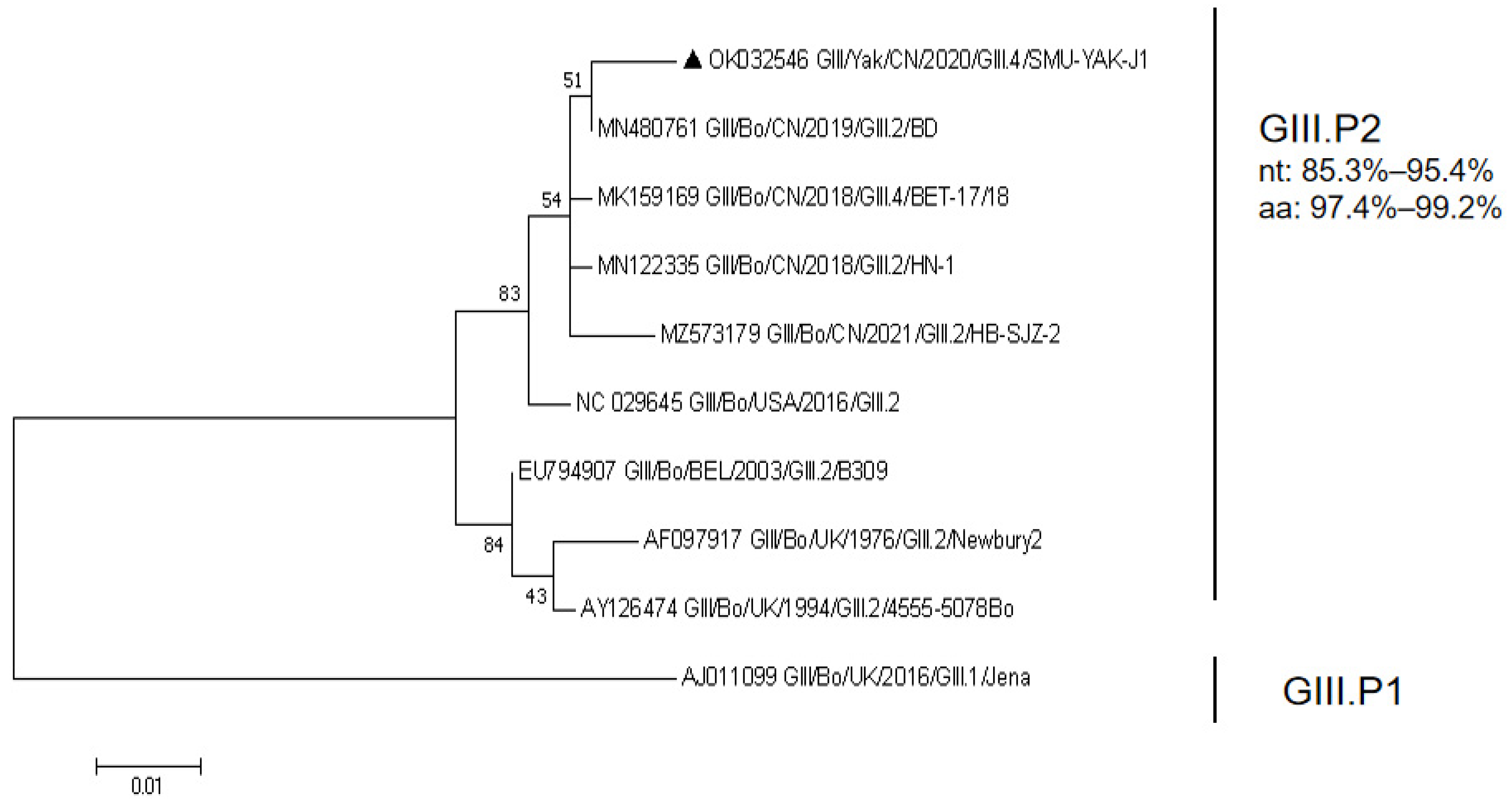 Pathogens 11 00192 g002