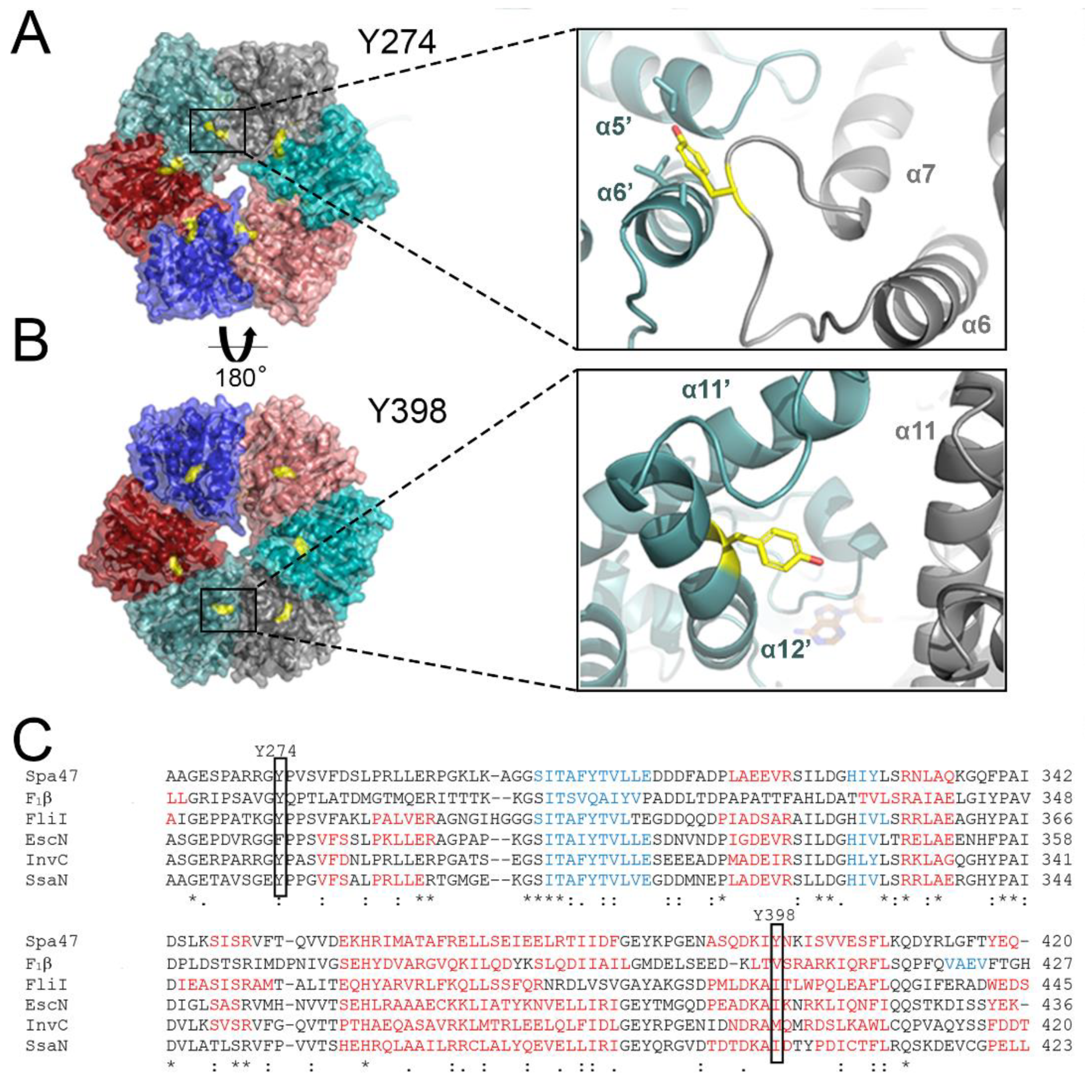 Pathogens 11 00202 g001