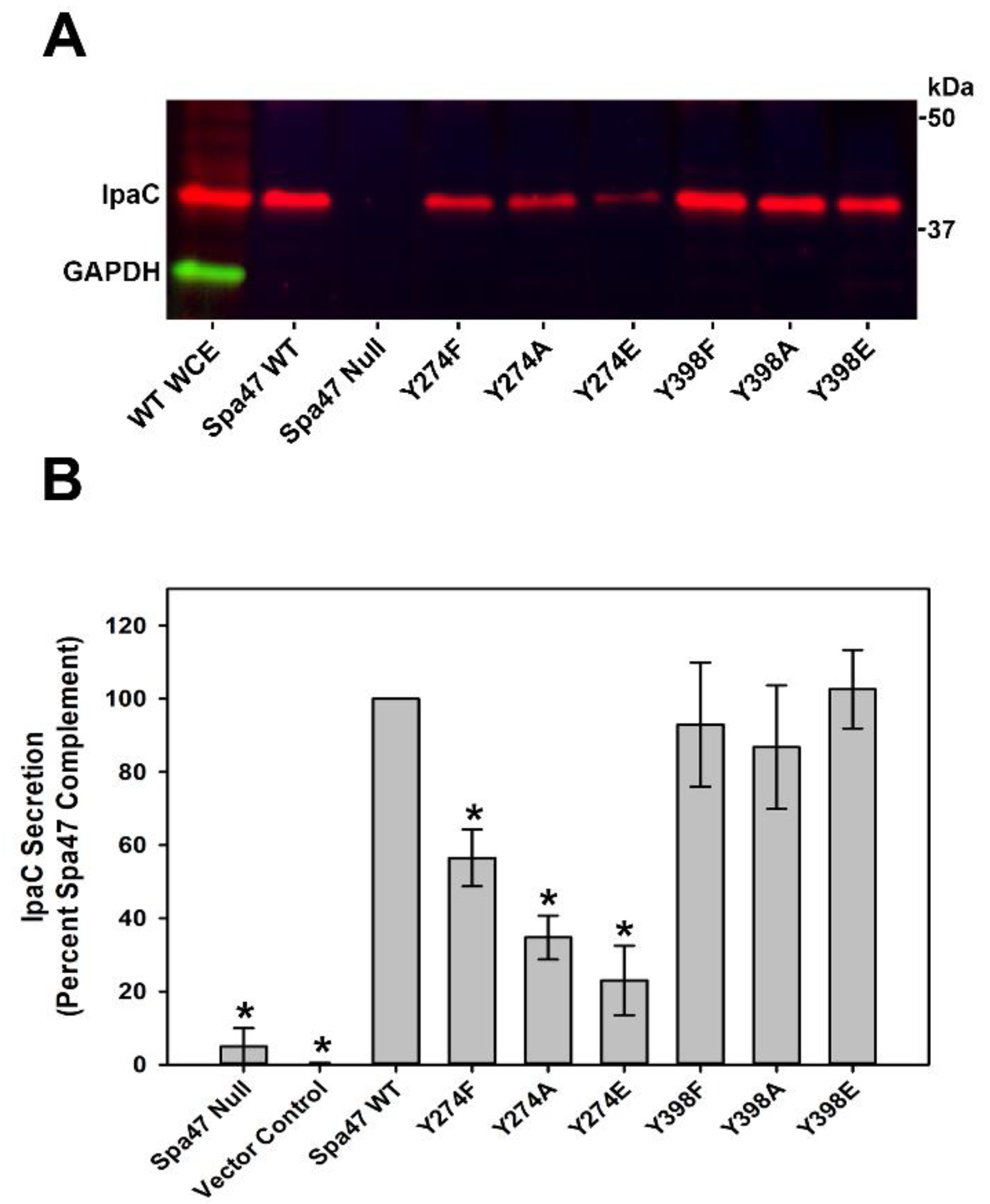 Pathogens 11 00202 g003