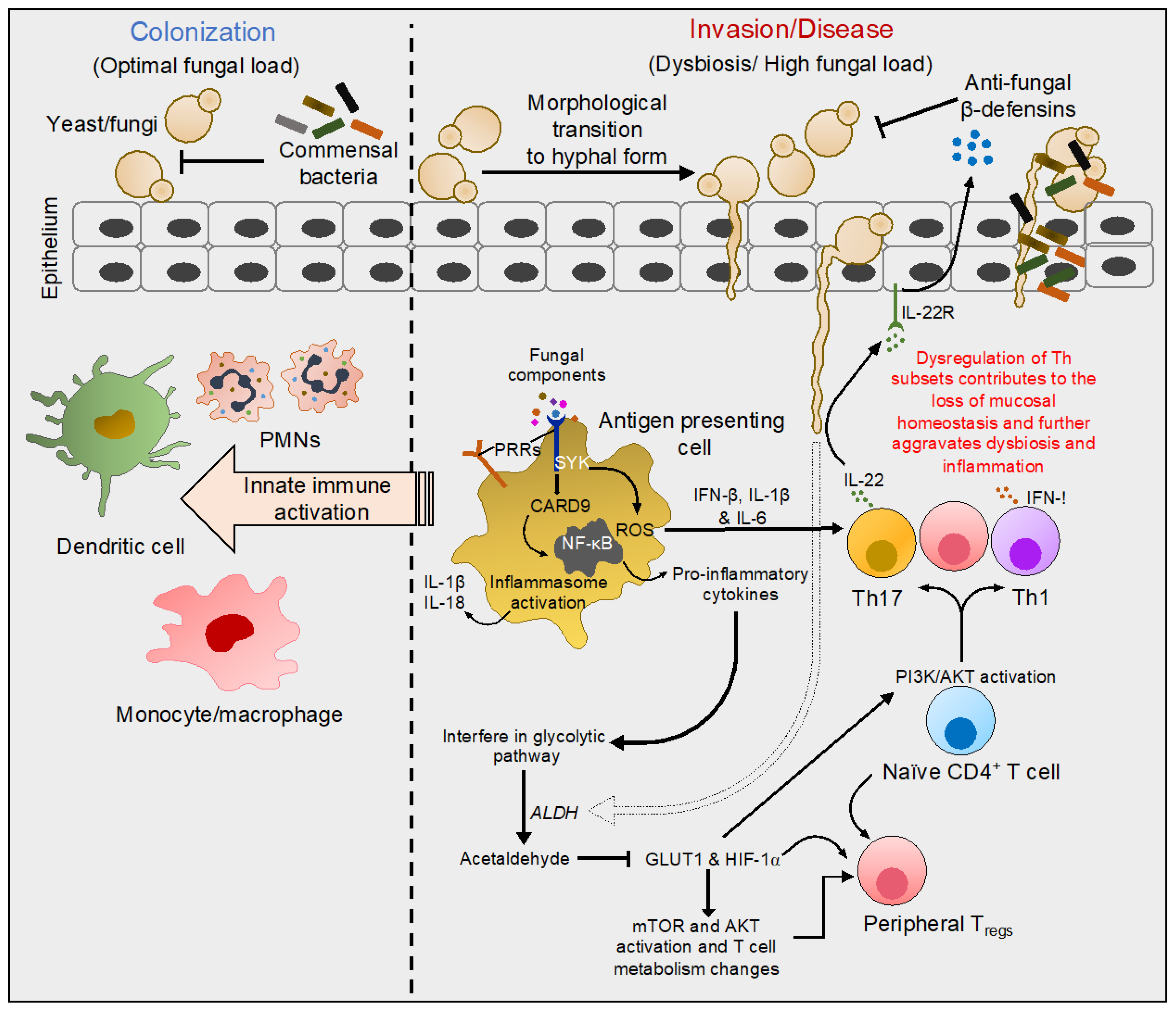 Pathogens 11 00212 g001 Pathogens 11 00212 g001
