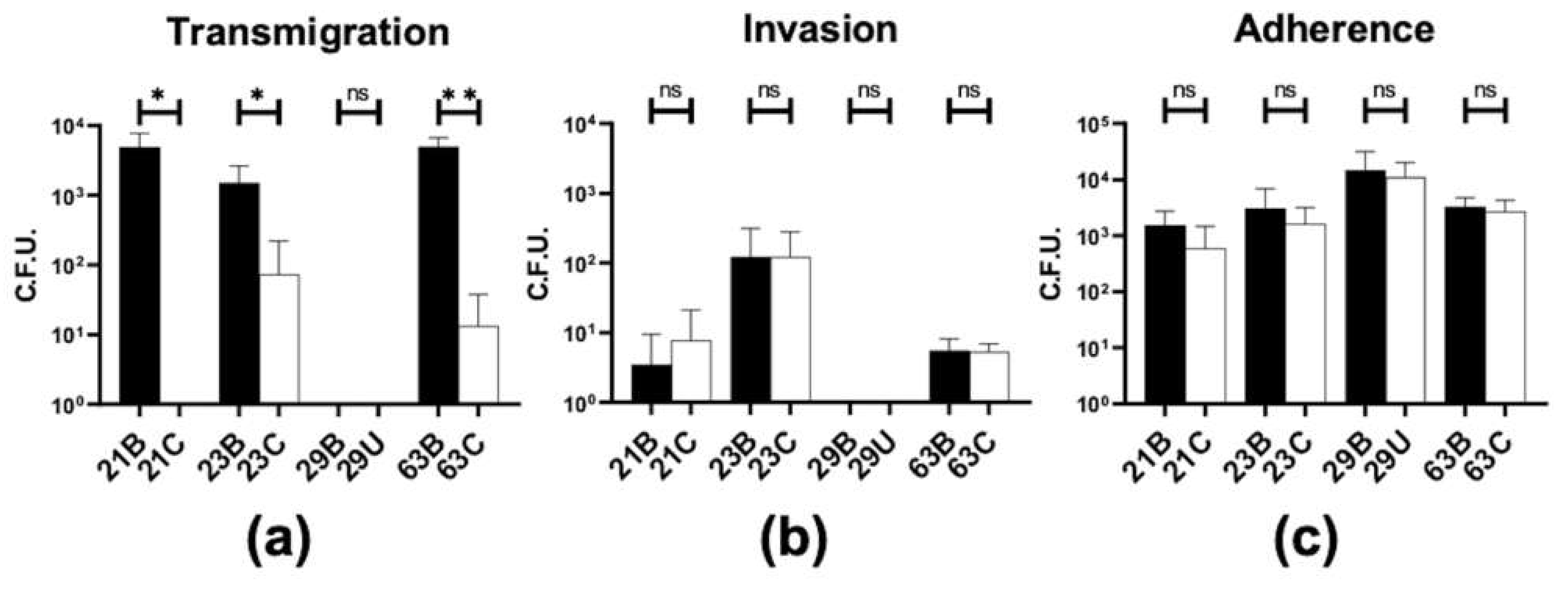 Pathogens 11 00217 g001