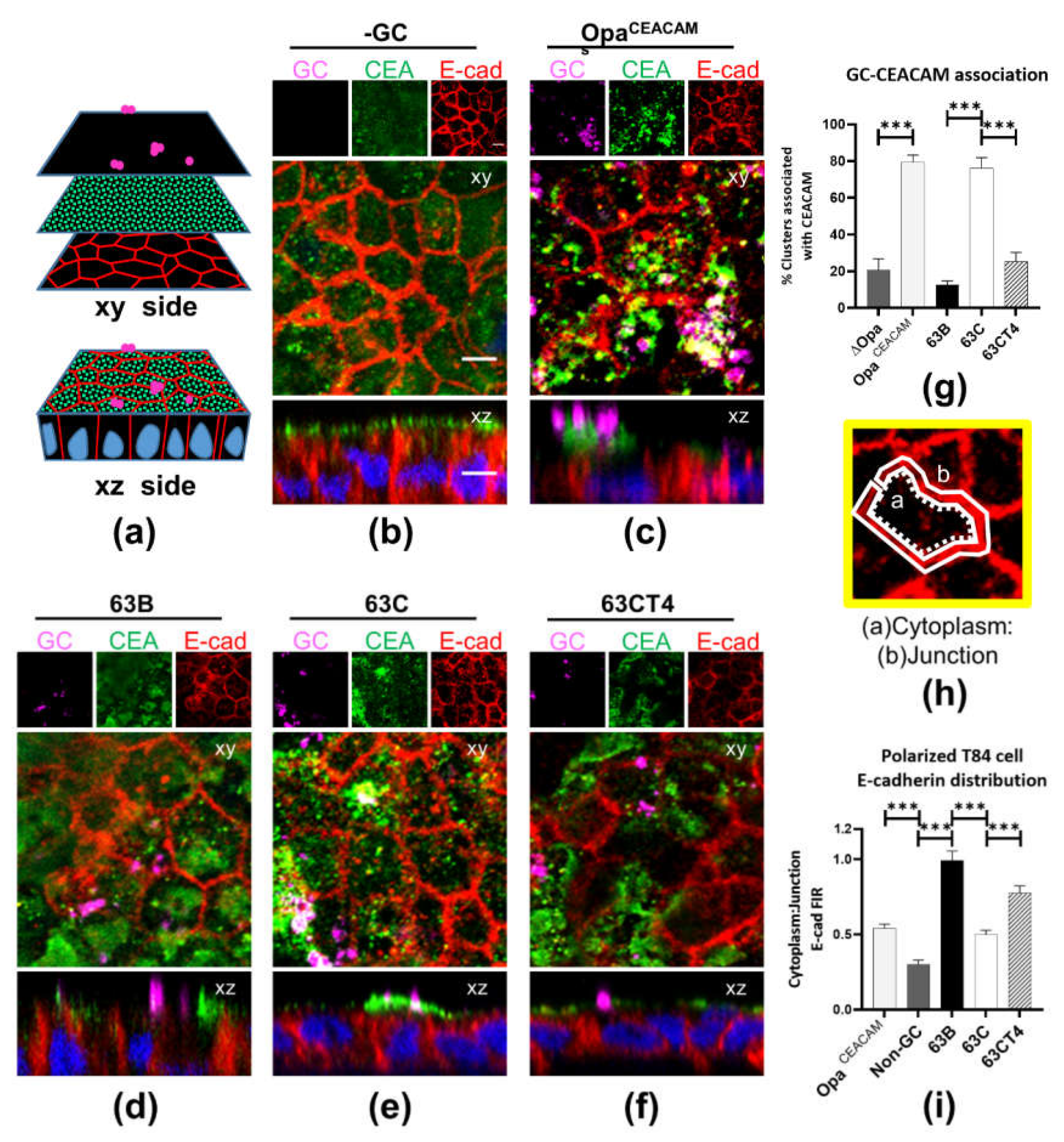 Pathogens 11 00217 g007