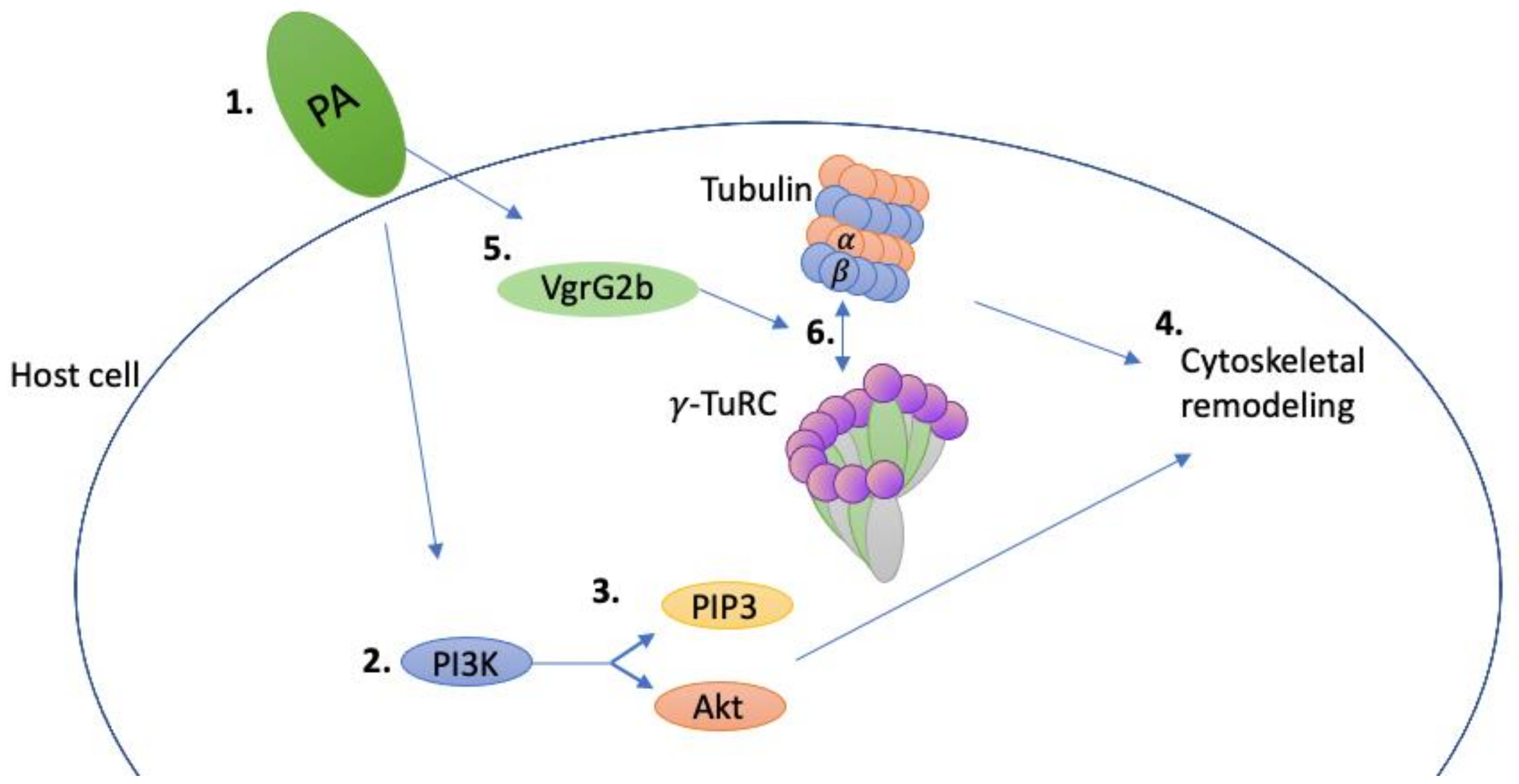 Pathogens 11 00220 g001 Pathogens 11 00220 g001