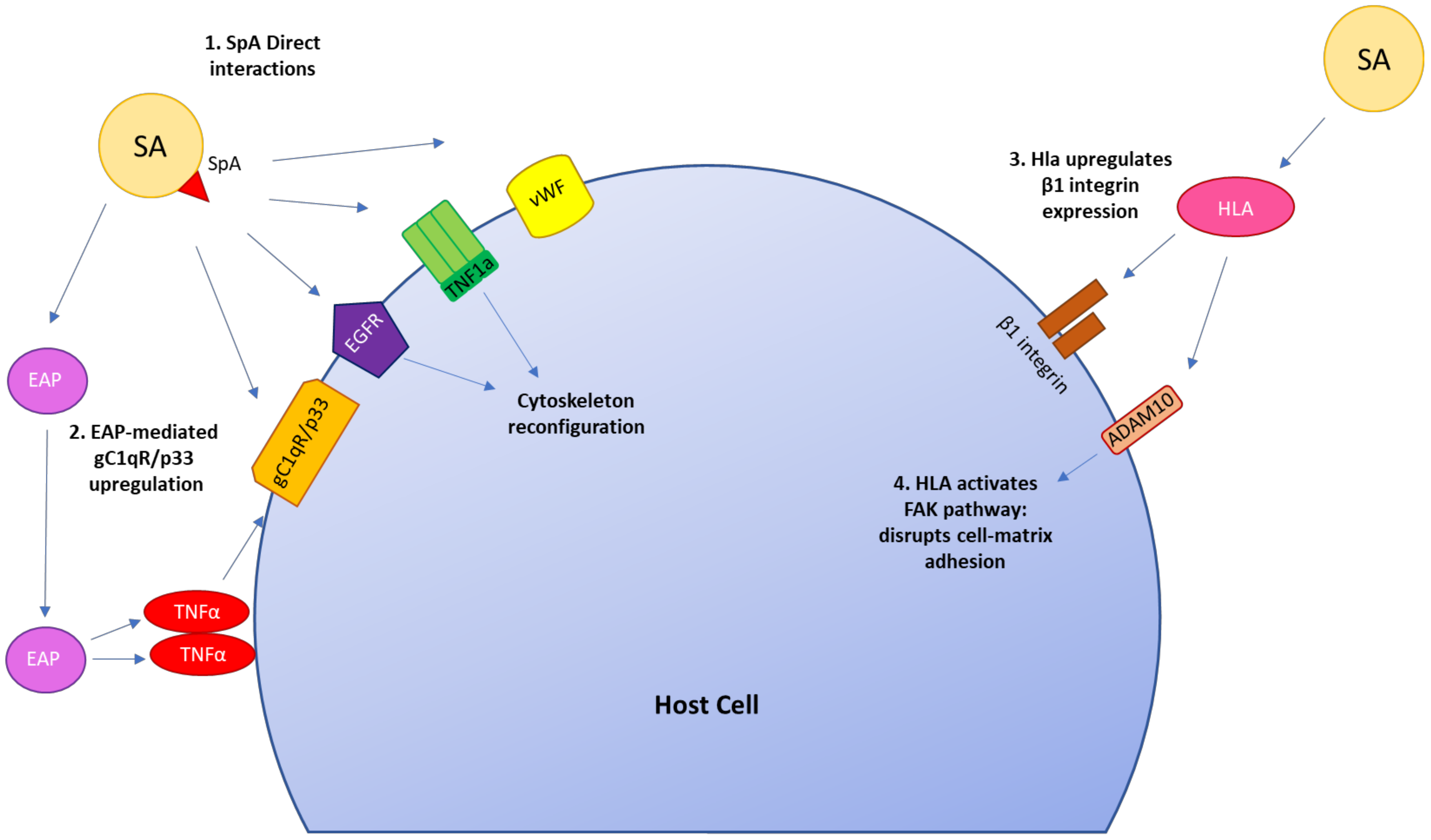 Pathogens 11 00220 g003 Pathogens 11 00220 g003