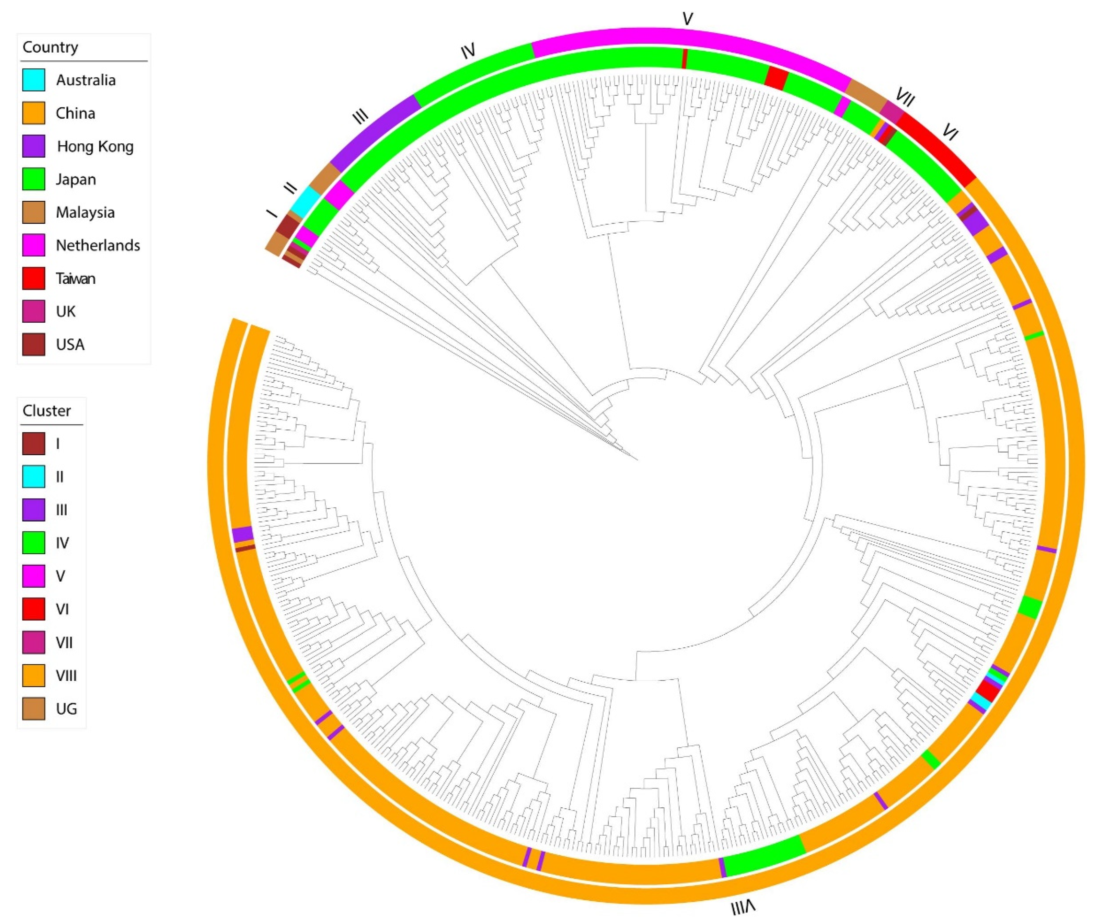 Pathogens 11 00226 g001