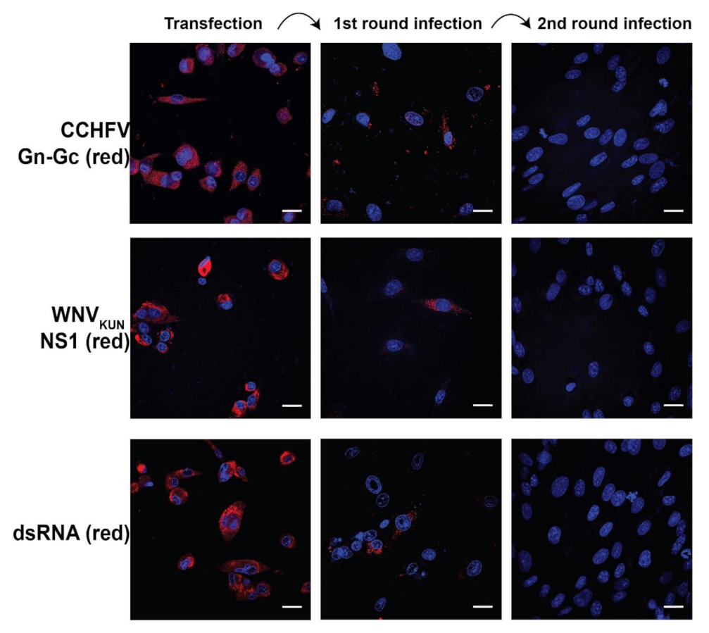 Pathogens 11 00233 g002