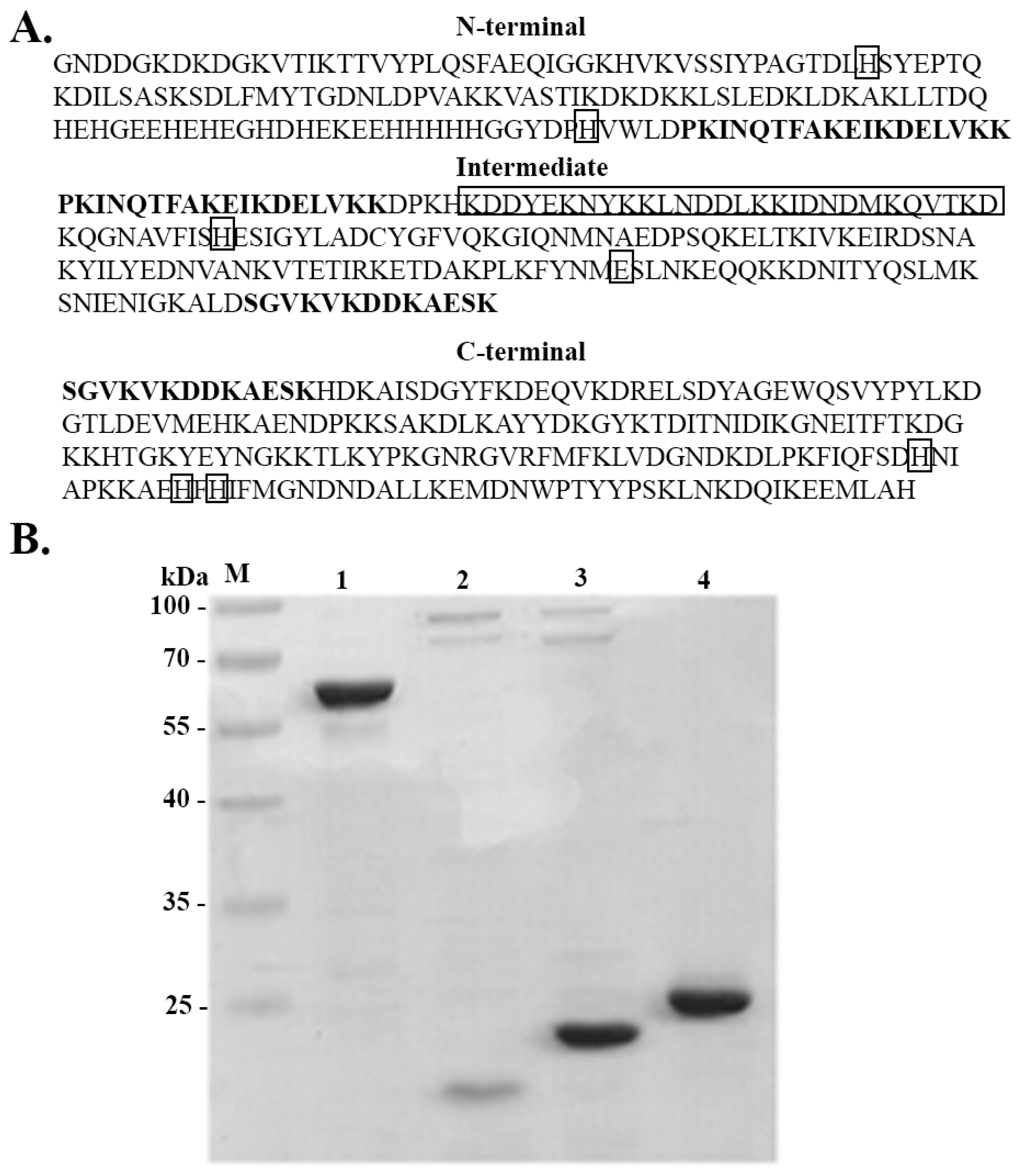 Pathogens 11 00240 g001