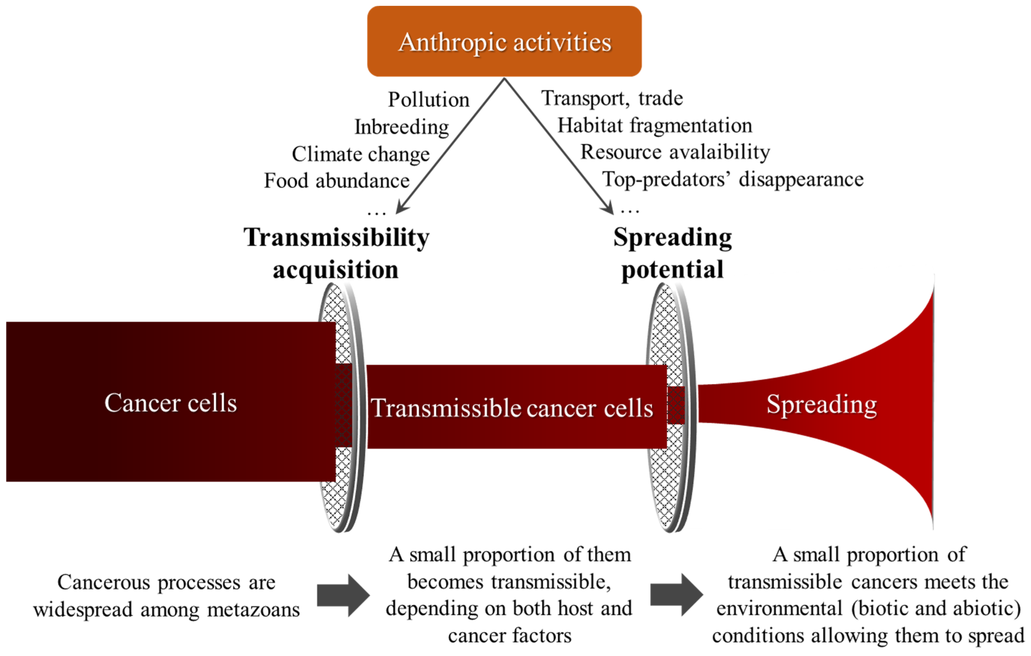 Pathogens 11 00241 g001