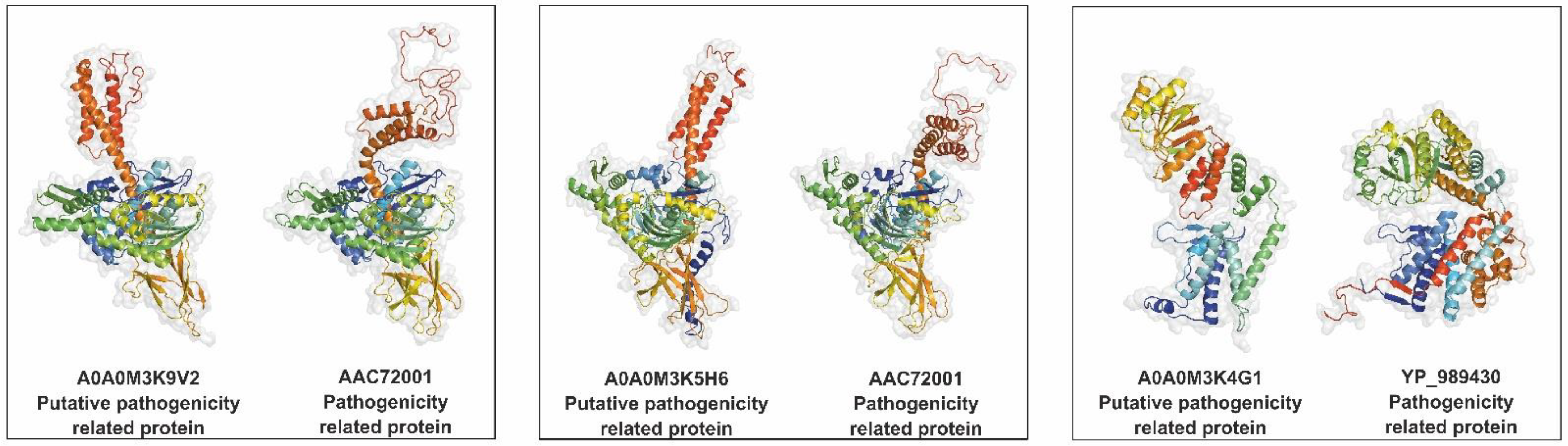 Pathogens 11 00246 g006