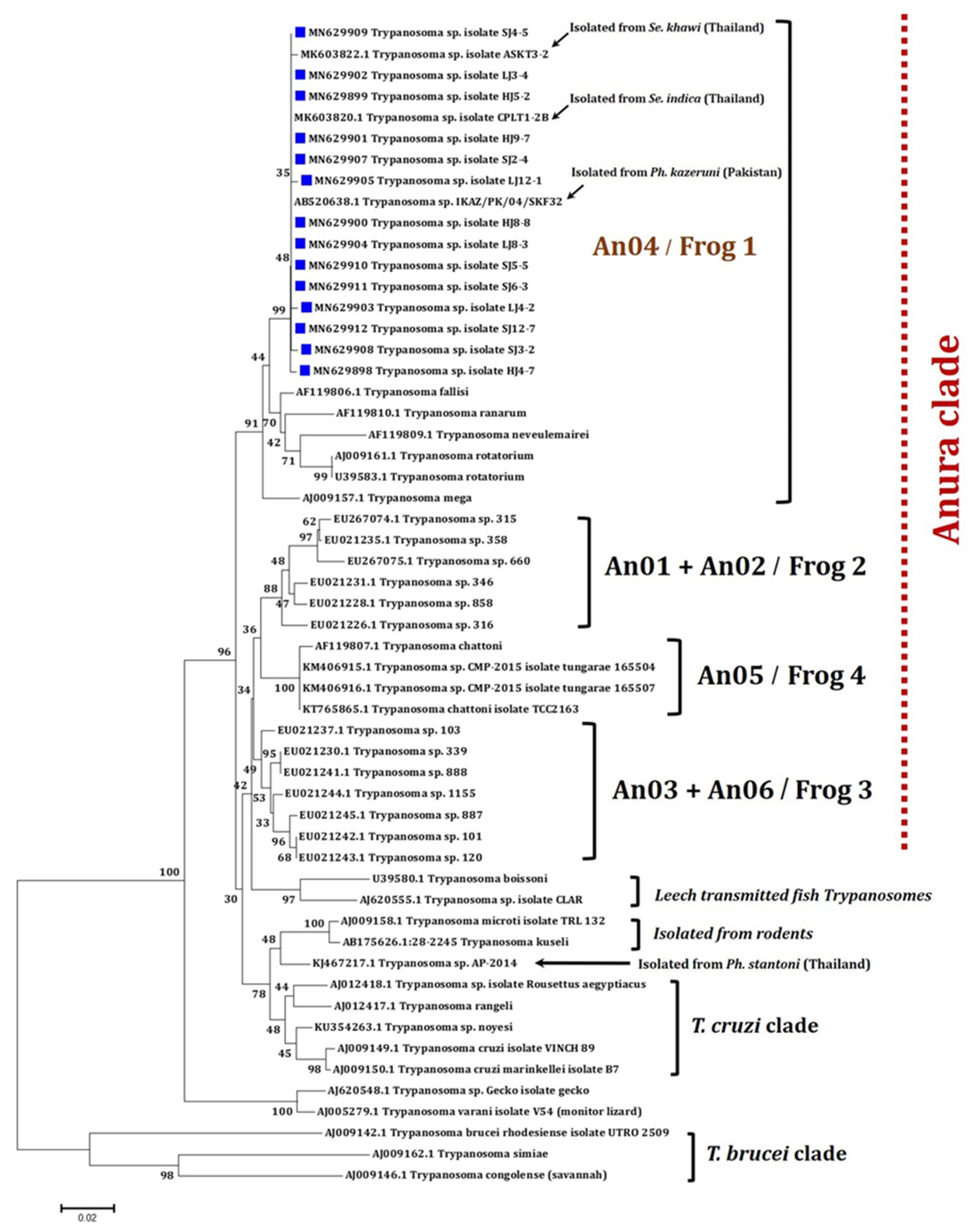 Pathogens 11 00247 g001