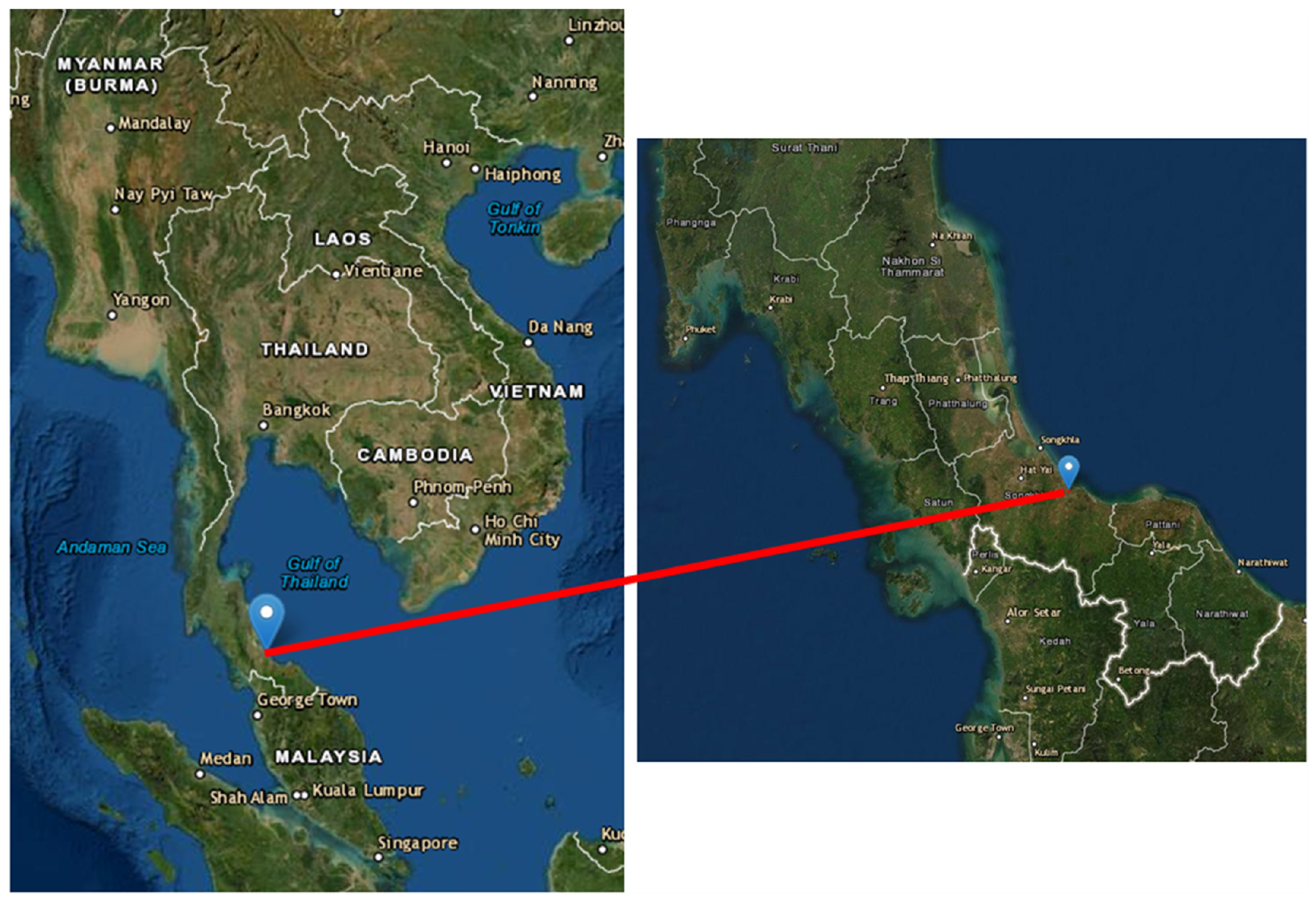 Pathogens 11 00247 g003