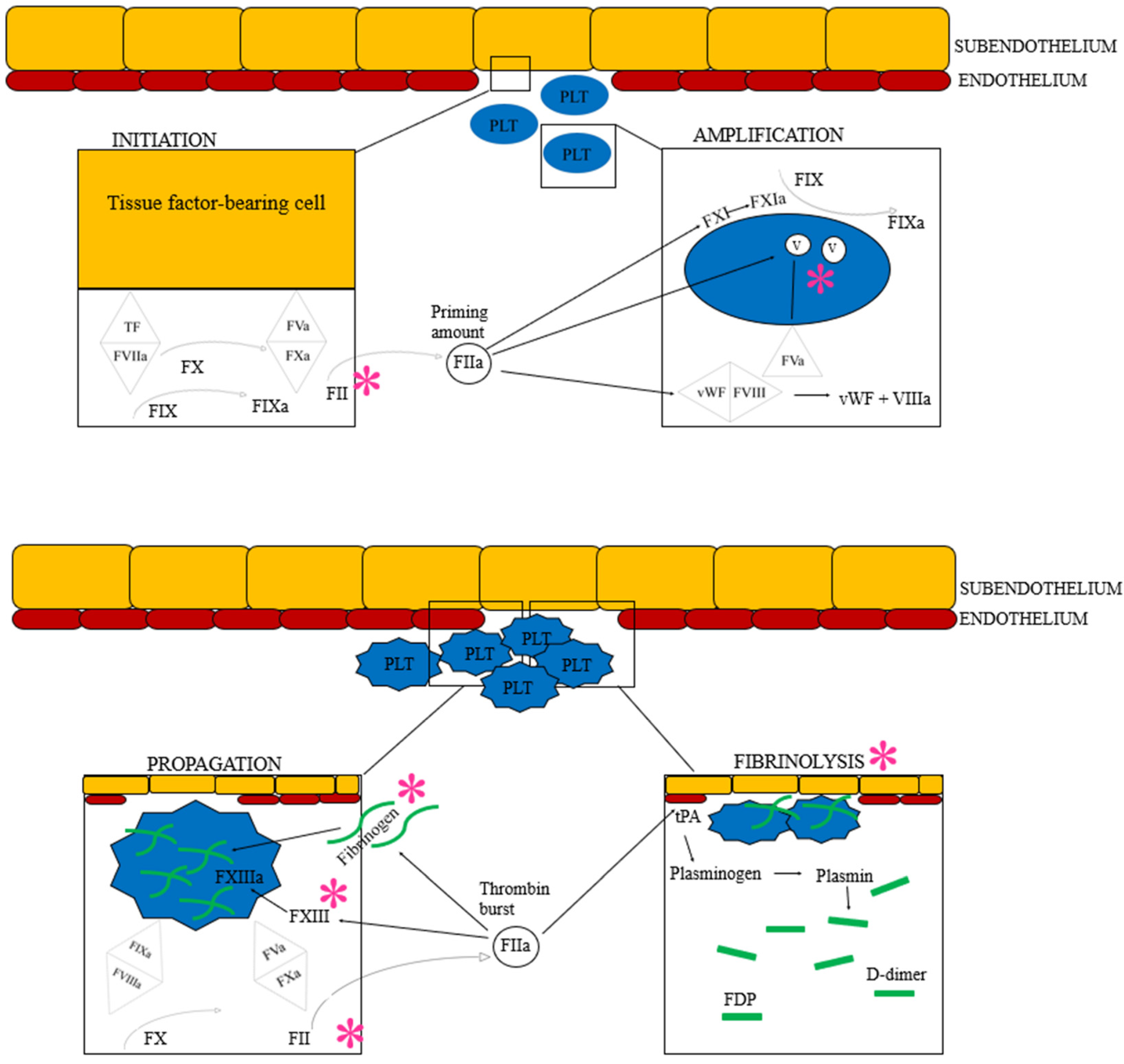 Pathogens 11 00249 g003